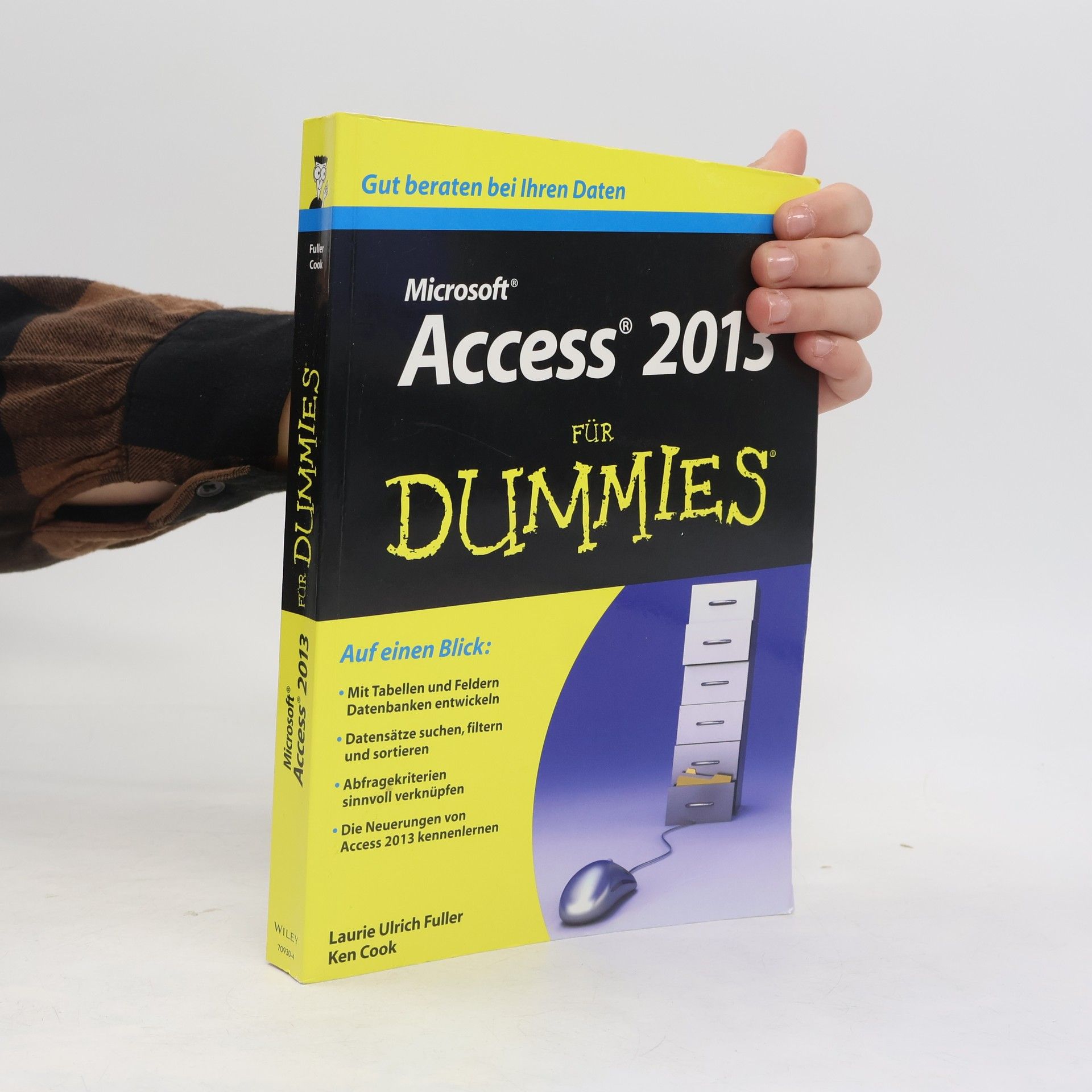 Access 2013 für Dummies