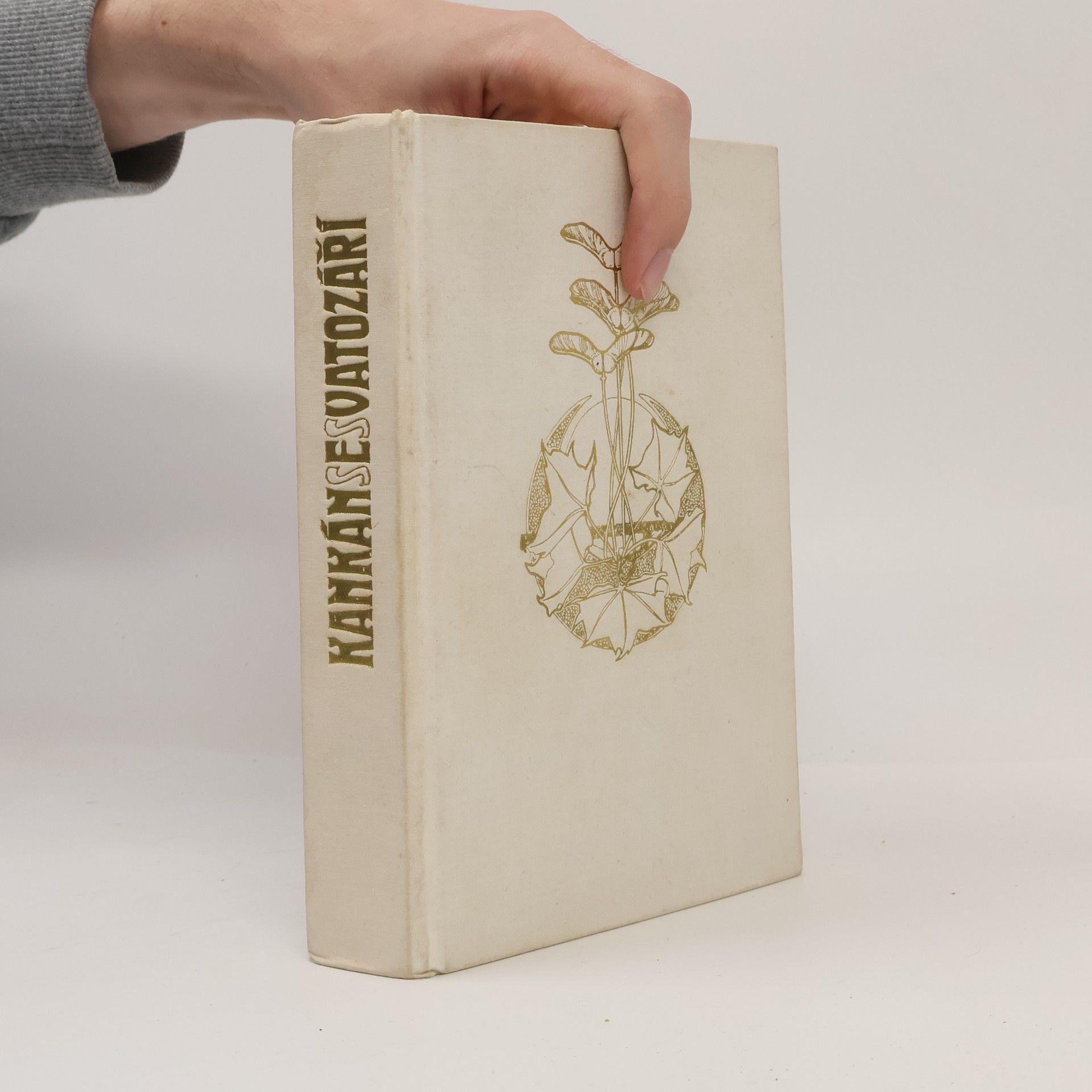 Jiří Mucha Kankán se svatozáří