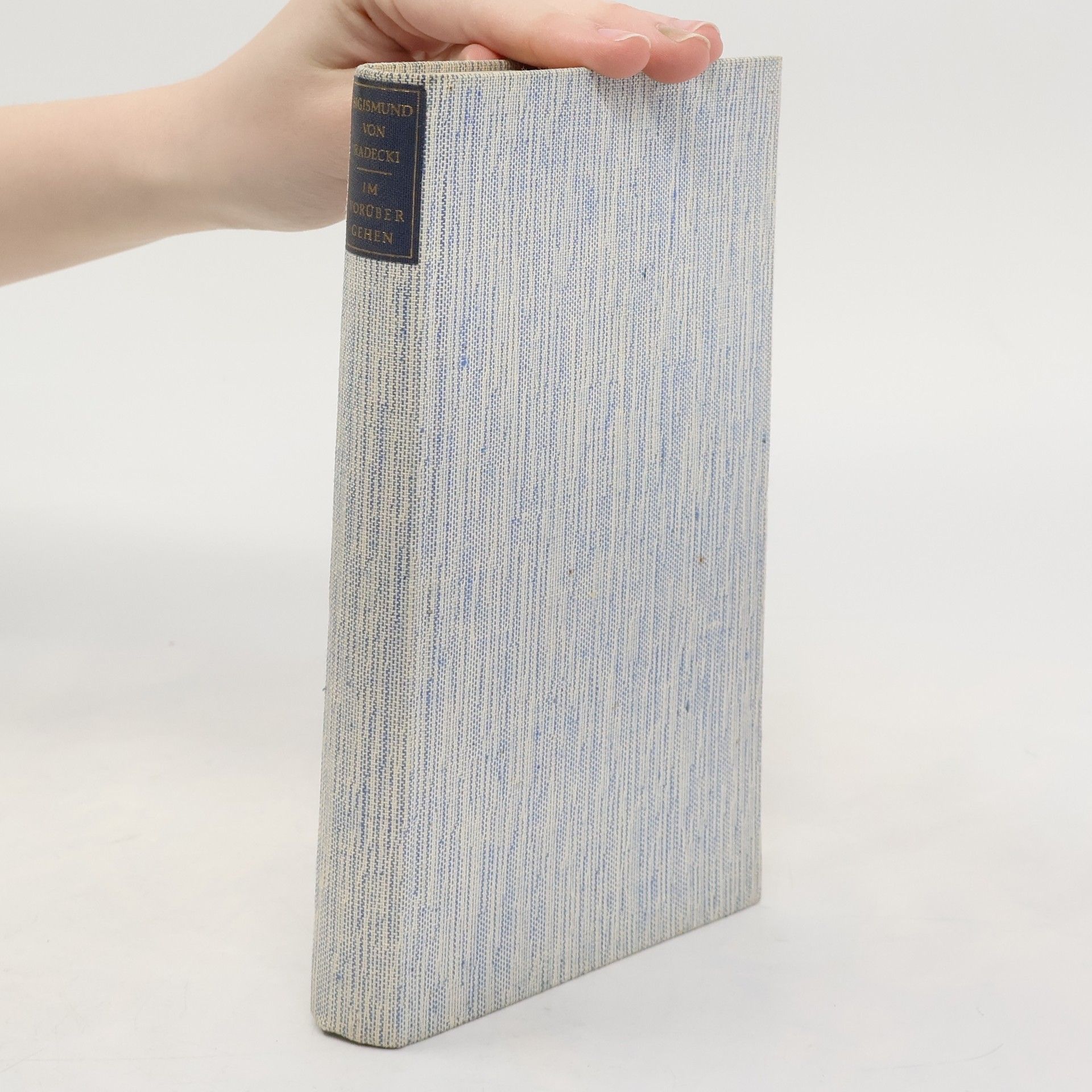 Sigismund V. Radecki Im Vorübergehen