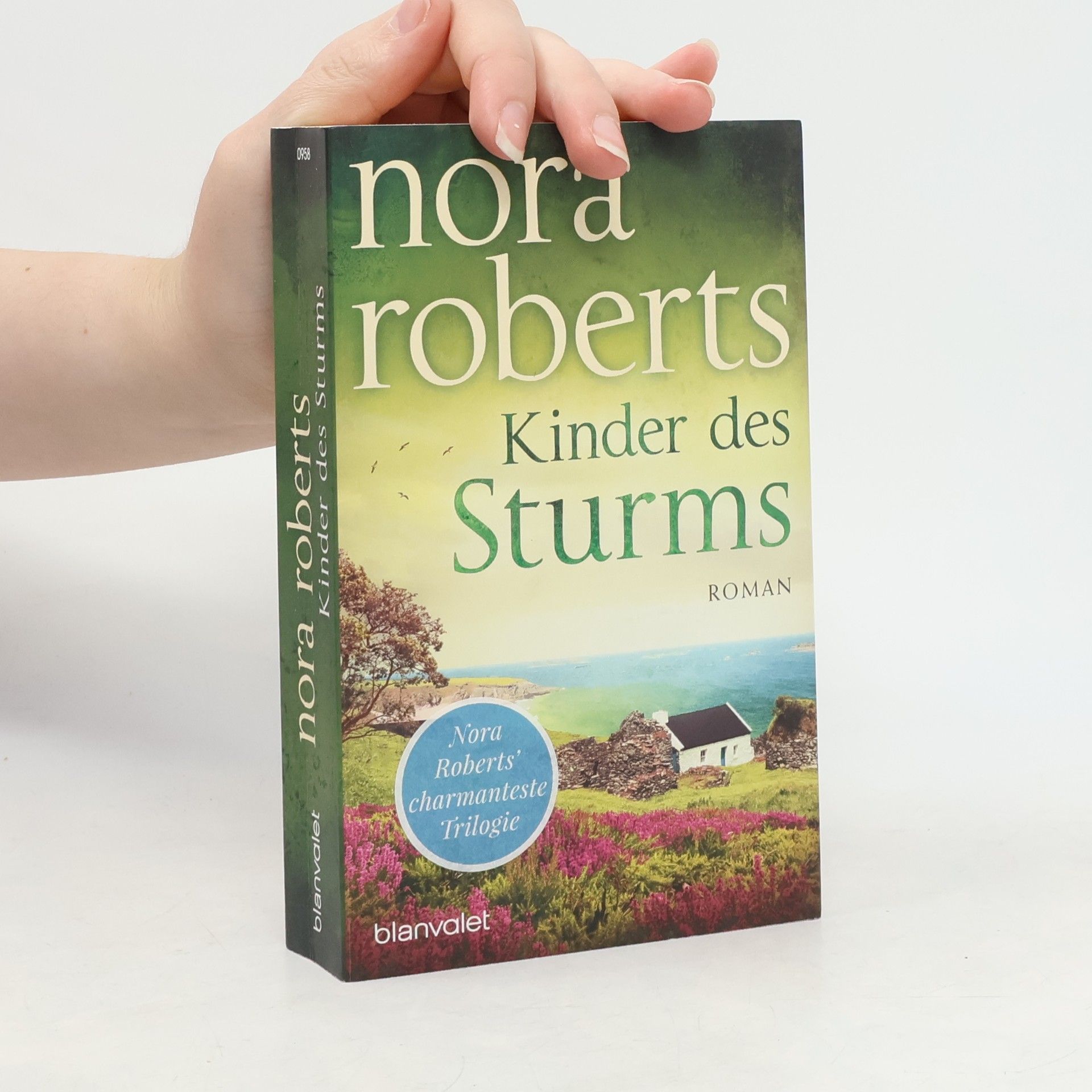 Nora Roberts Kinder des Sturms