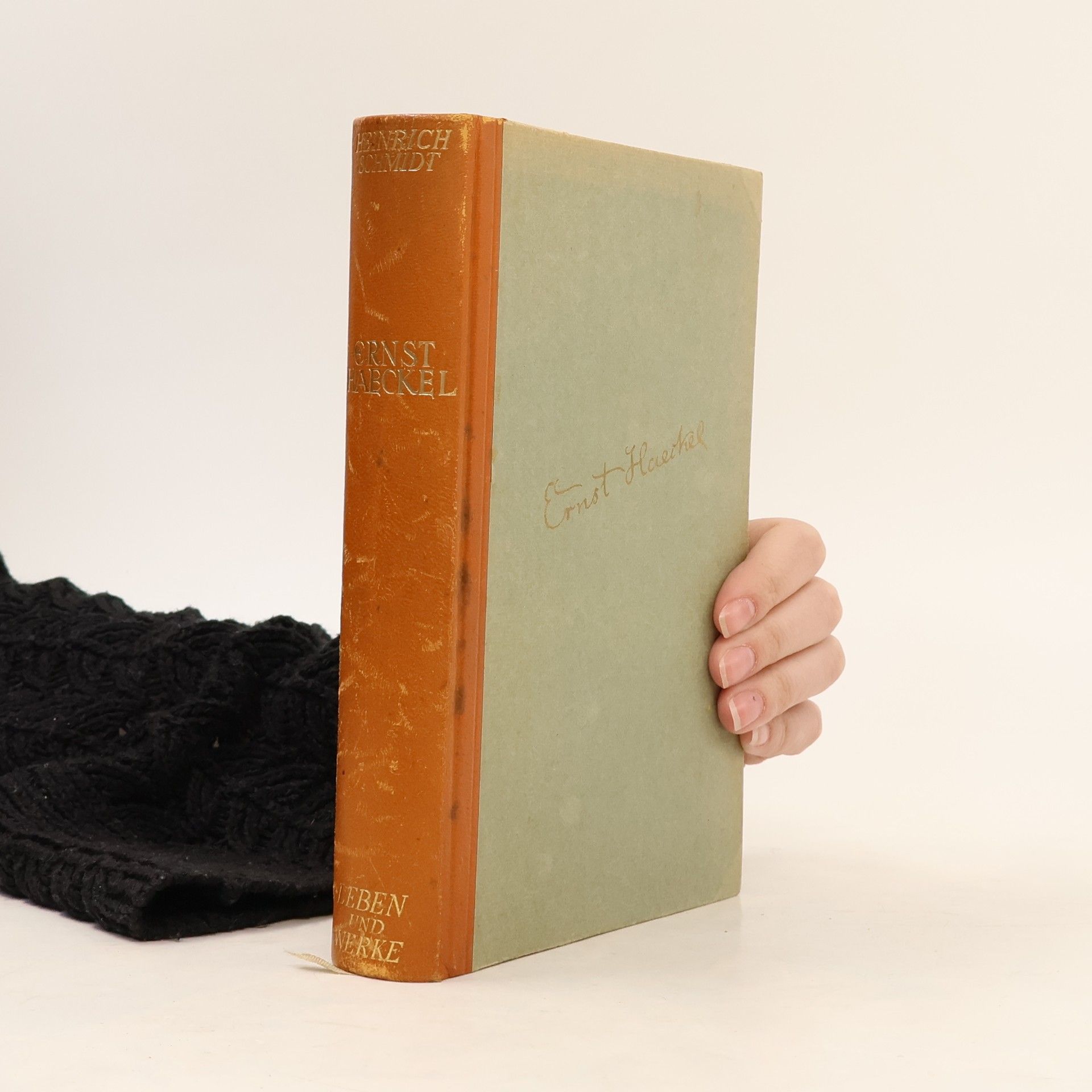 Heinrich Schmidt Ernst Haeckel