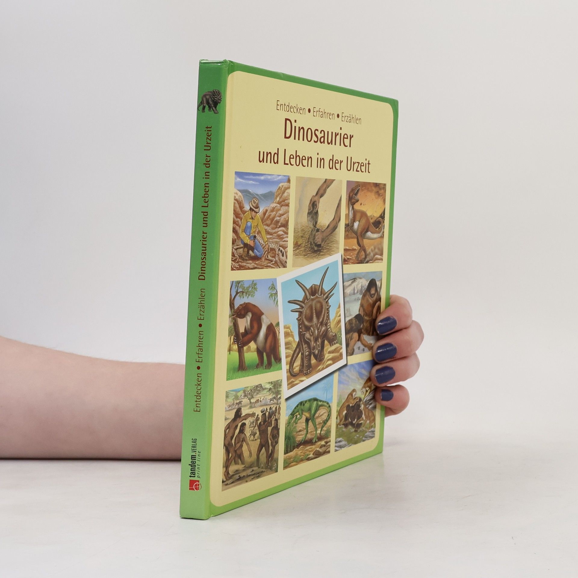 Autorenkollektiv Dinosaurier und Leben in der Urzeit