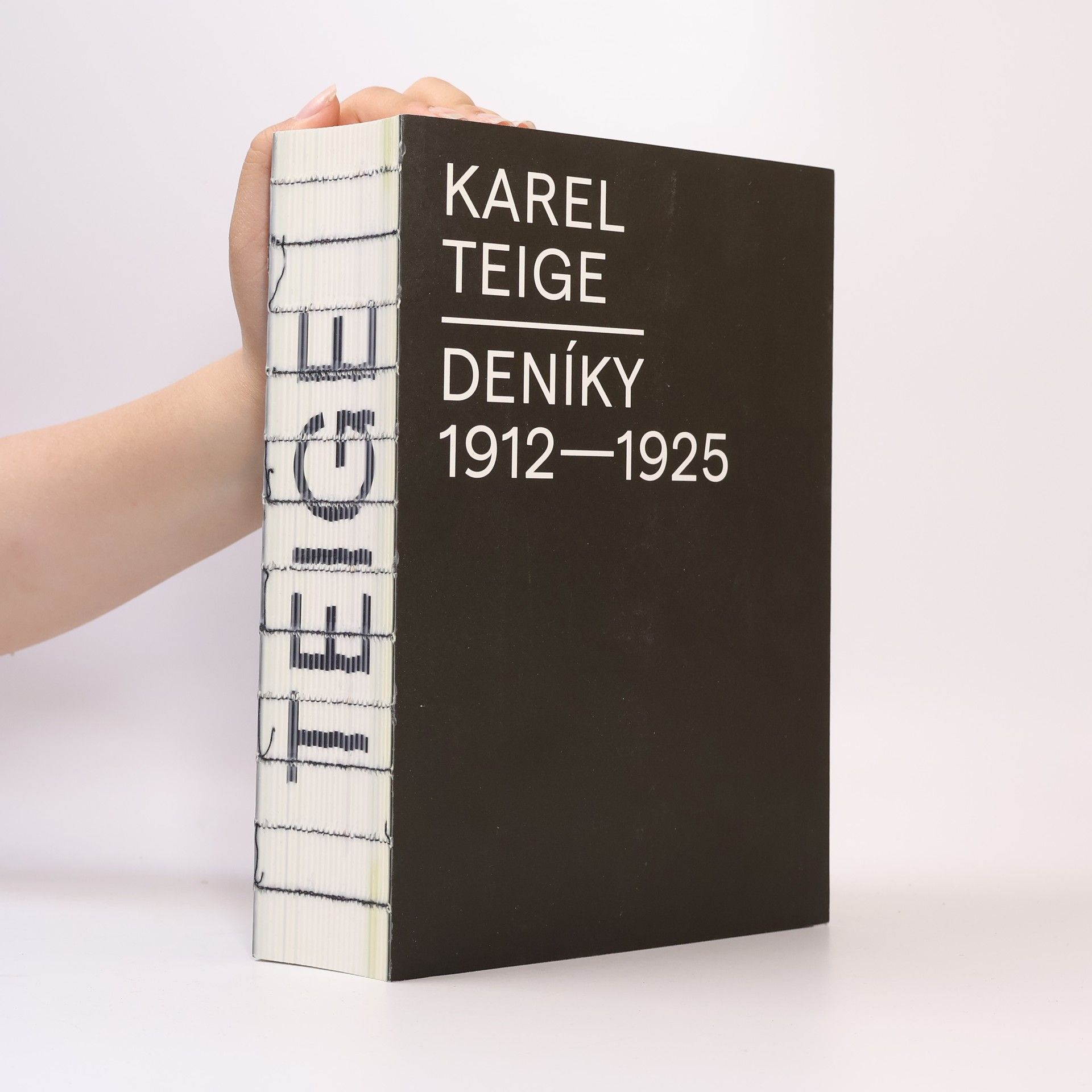 Tereza Sudzinová Deníky 1912-1925