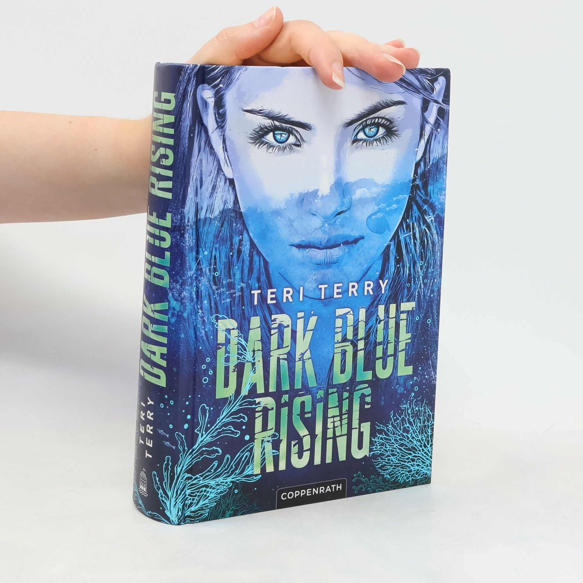 Teri Terry Dark Blue Rising