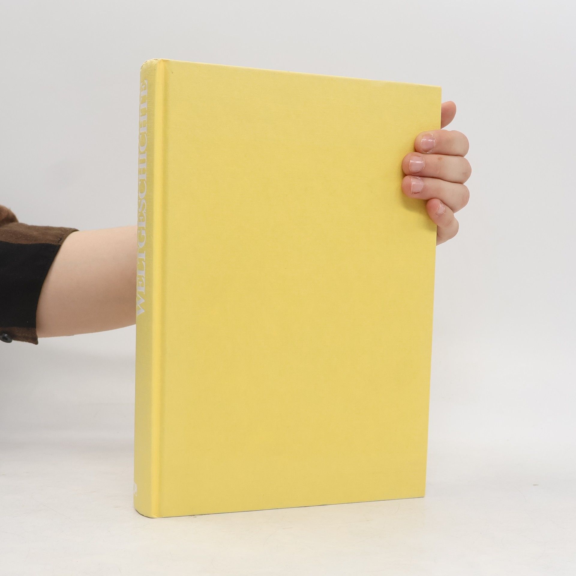 Kolektiv autorů Weltgeschichte