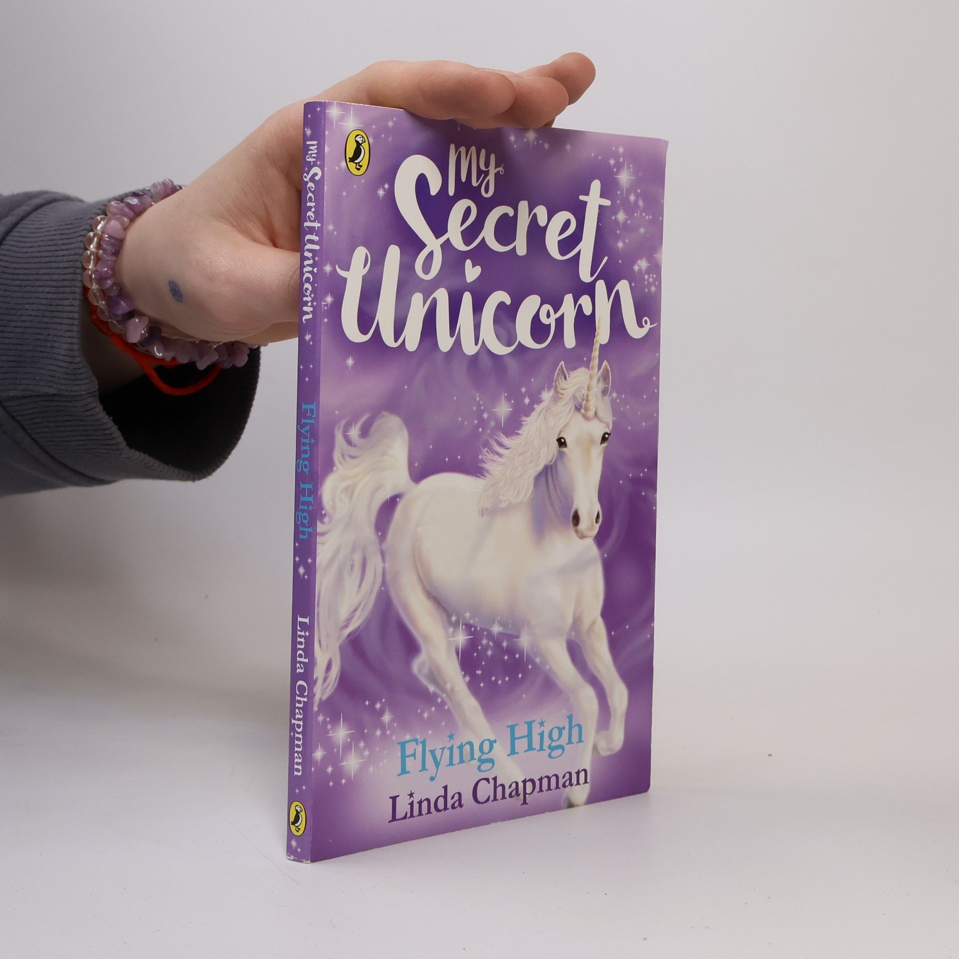 Linda Chapman My Secret Unicorn. Flying High