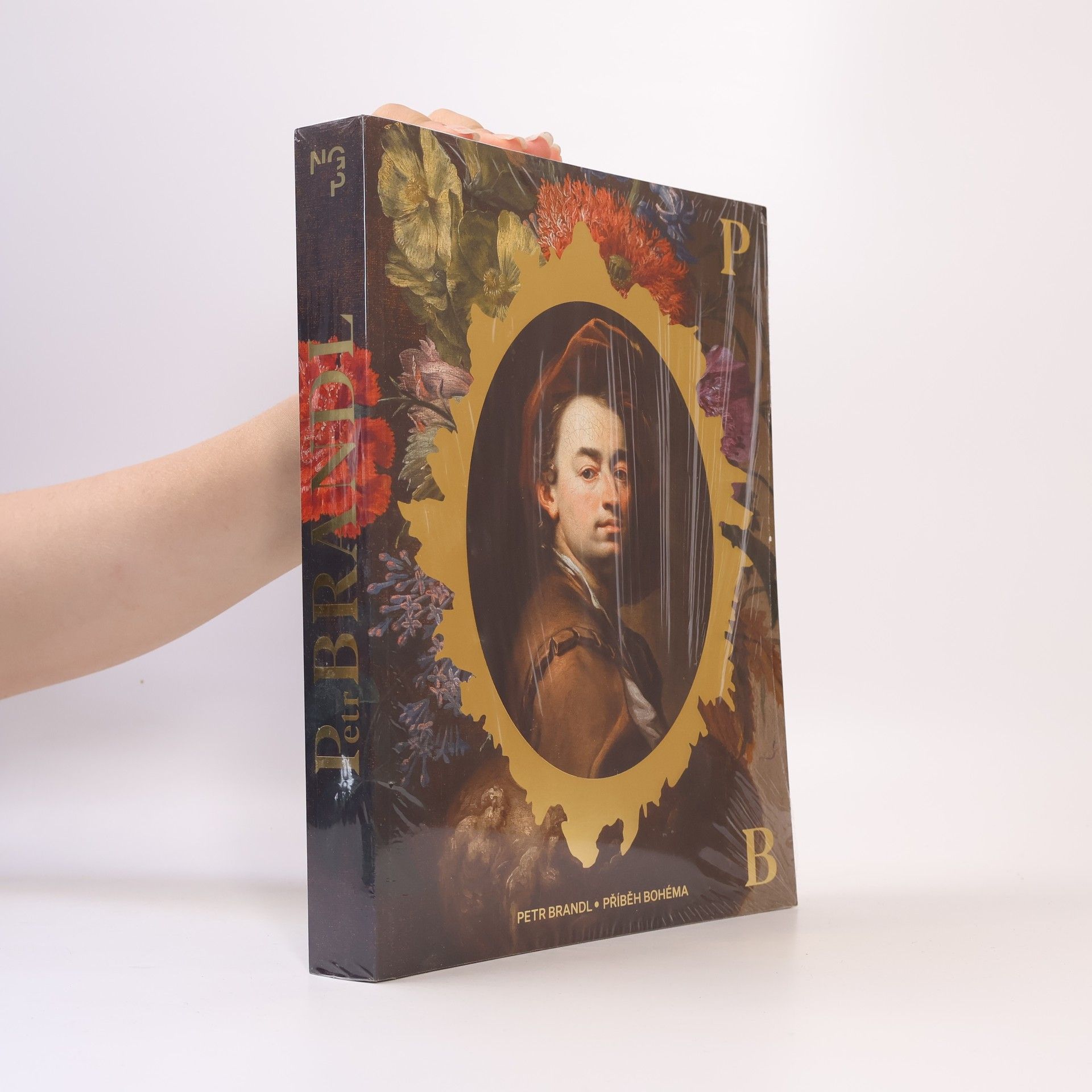 Various authors Petr Brandl: Příběh Bohéma