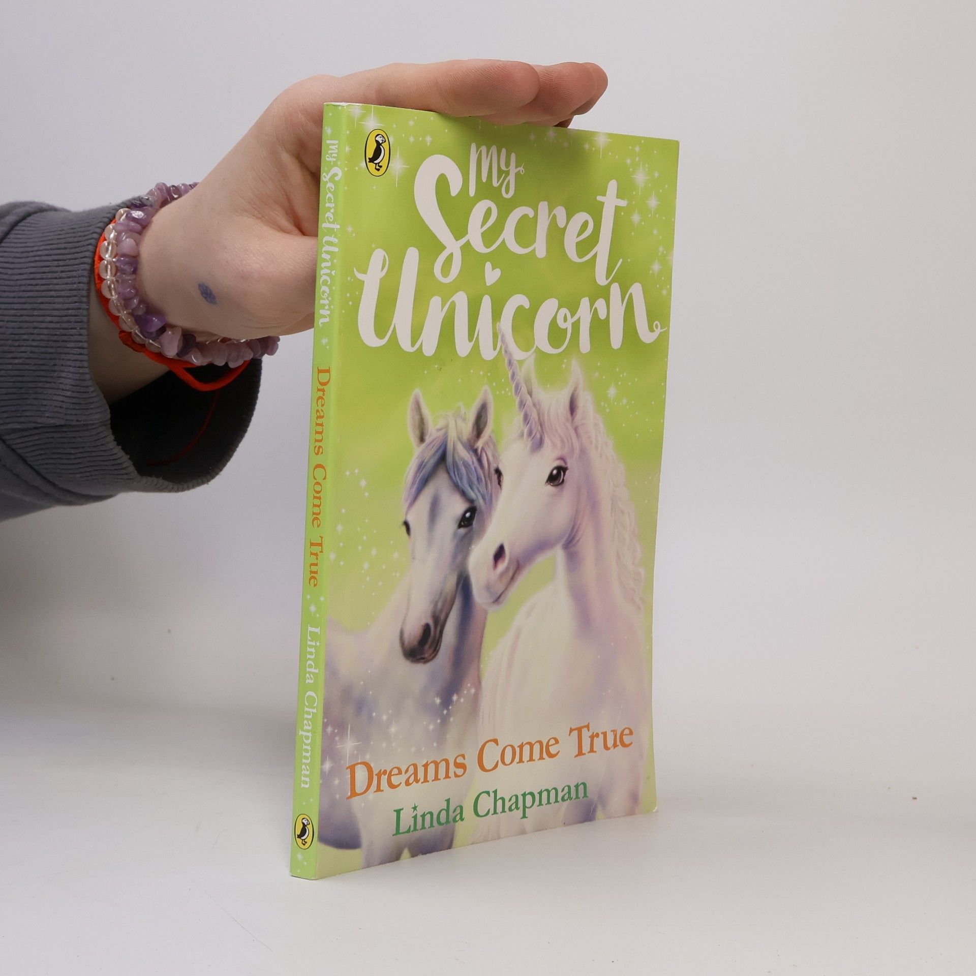 Linda Chapman My Secret Unicorn. Dreams Come True