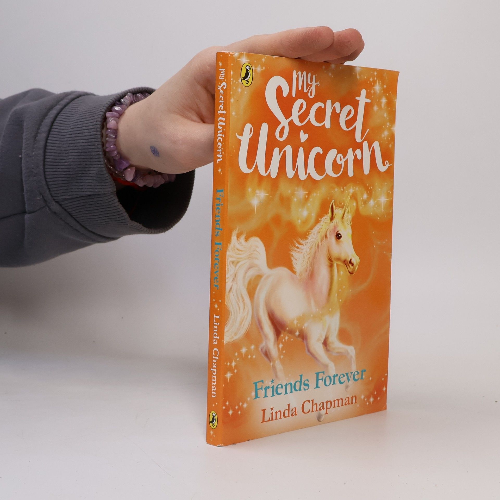 Linda Chapman My Secret Unicorn