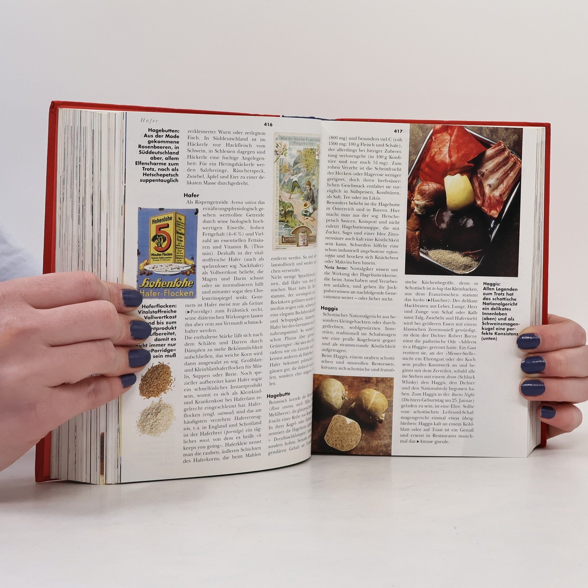 Udo Pini Das Gourmethandbuch