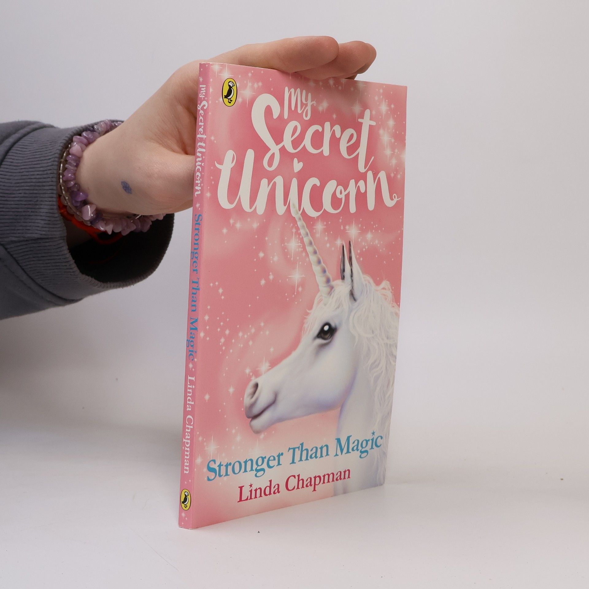 Linda Chapman My Secret Unicorn