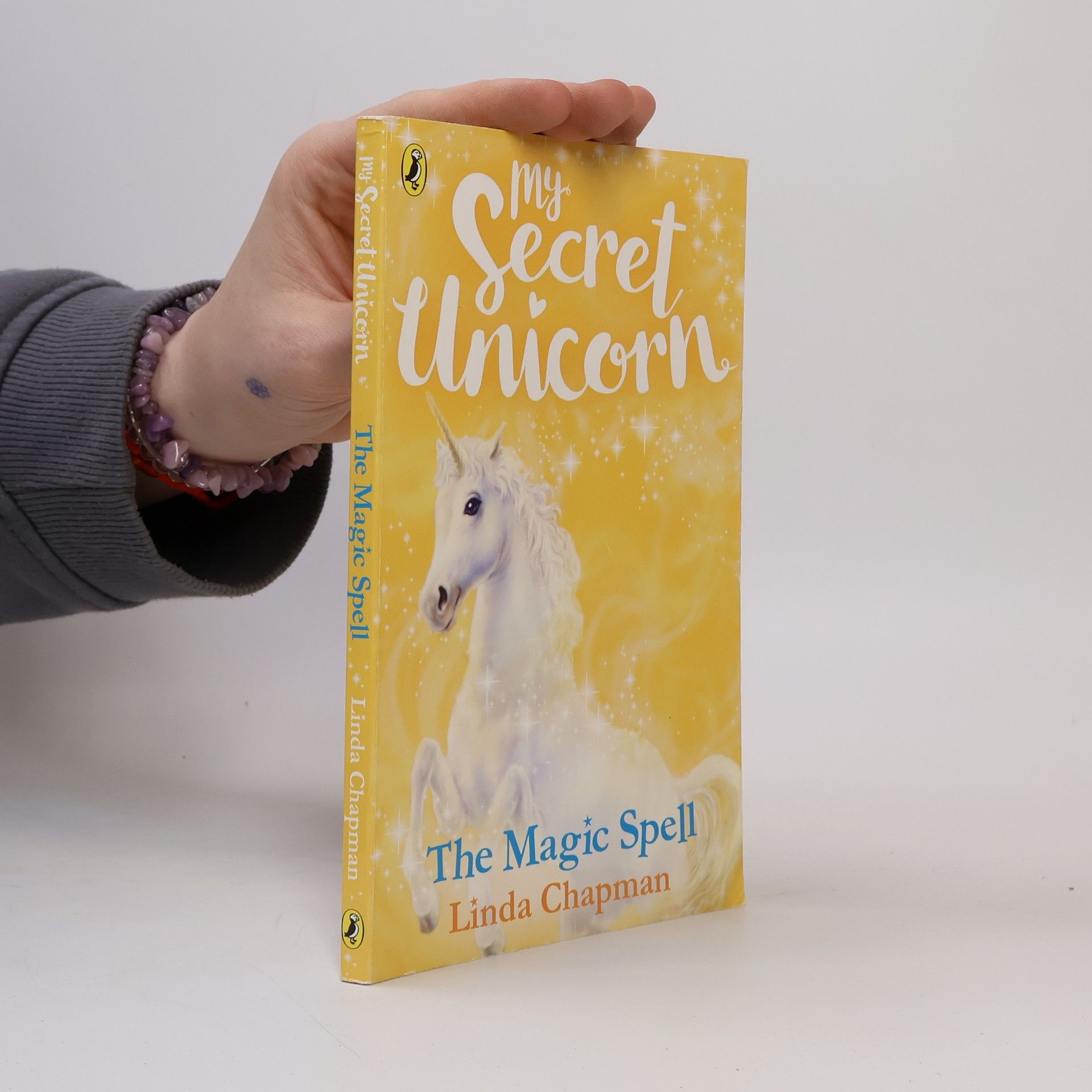 Linda Chapman My Secret Unicorn