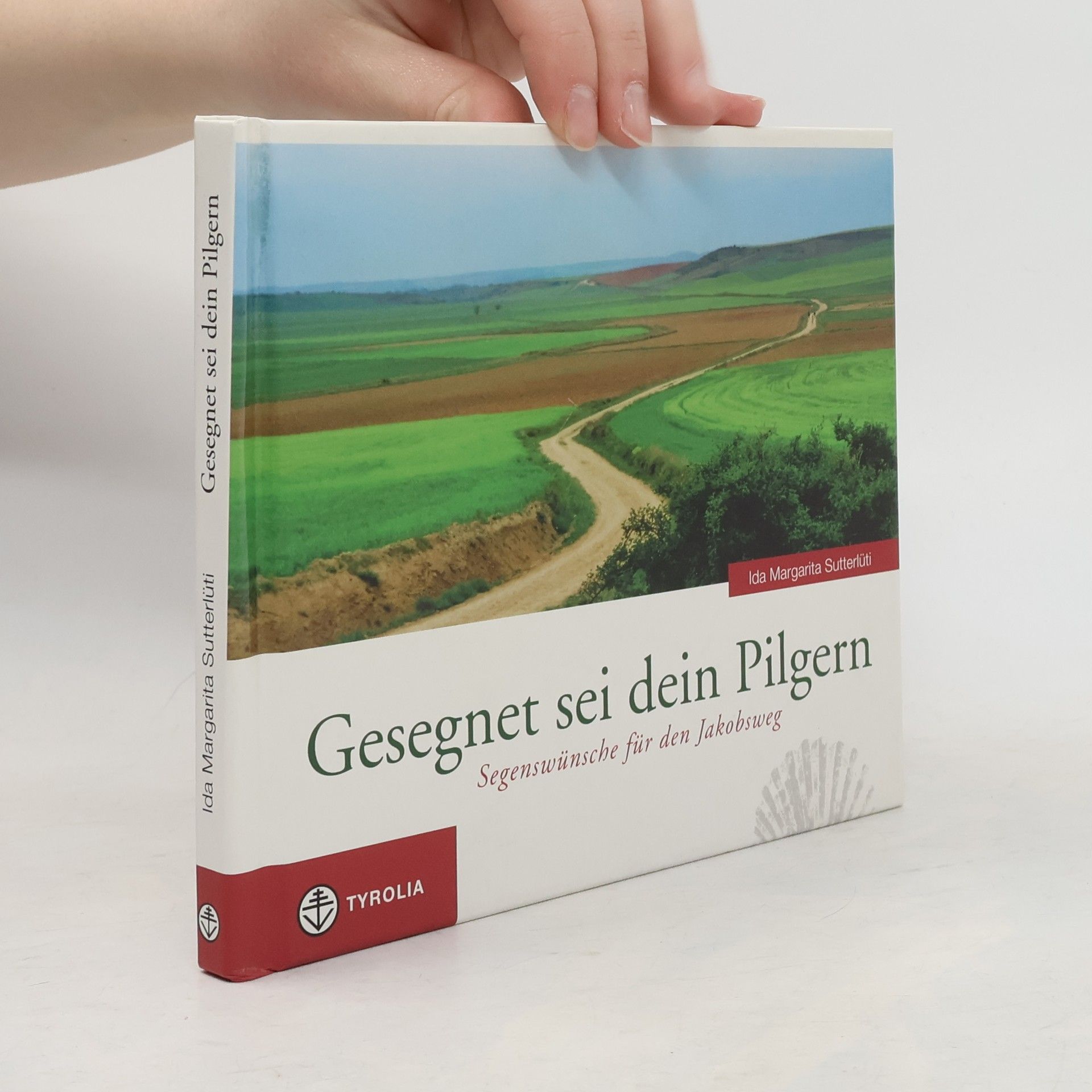 Ida Margarita Sutterlüti Gesegnet sei dein Pilgern