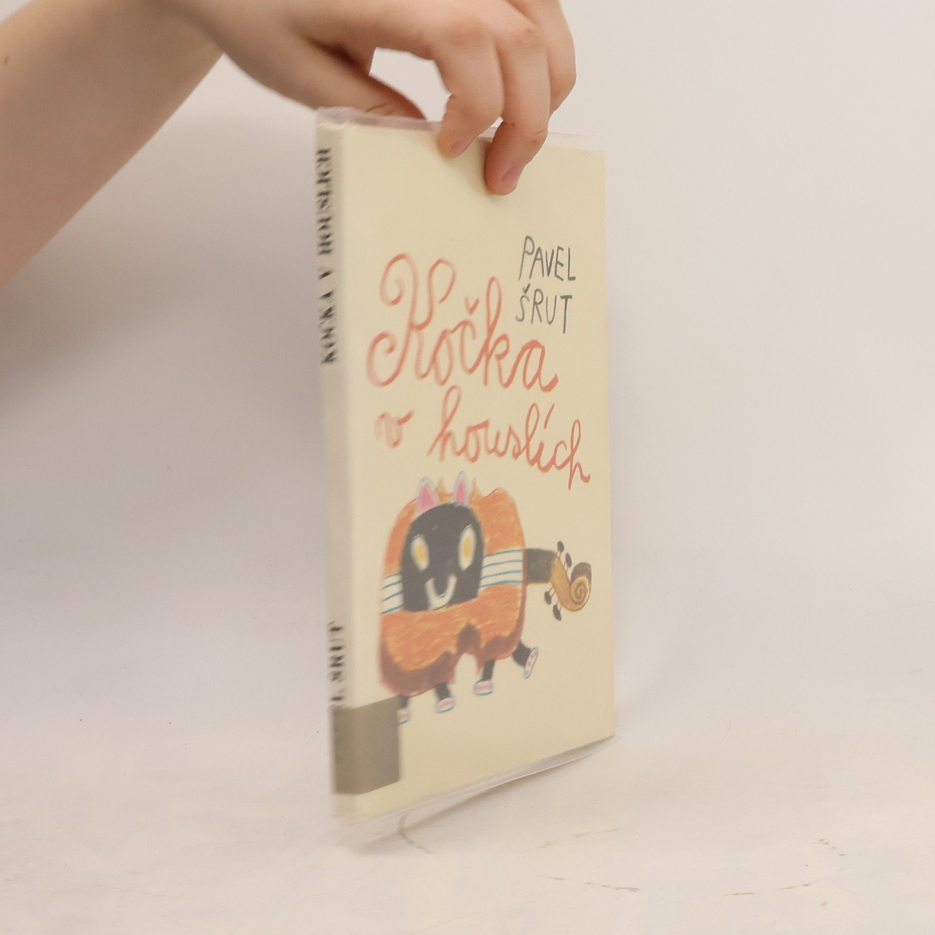 Pavel Šrut Kočka v houslích