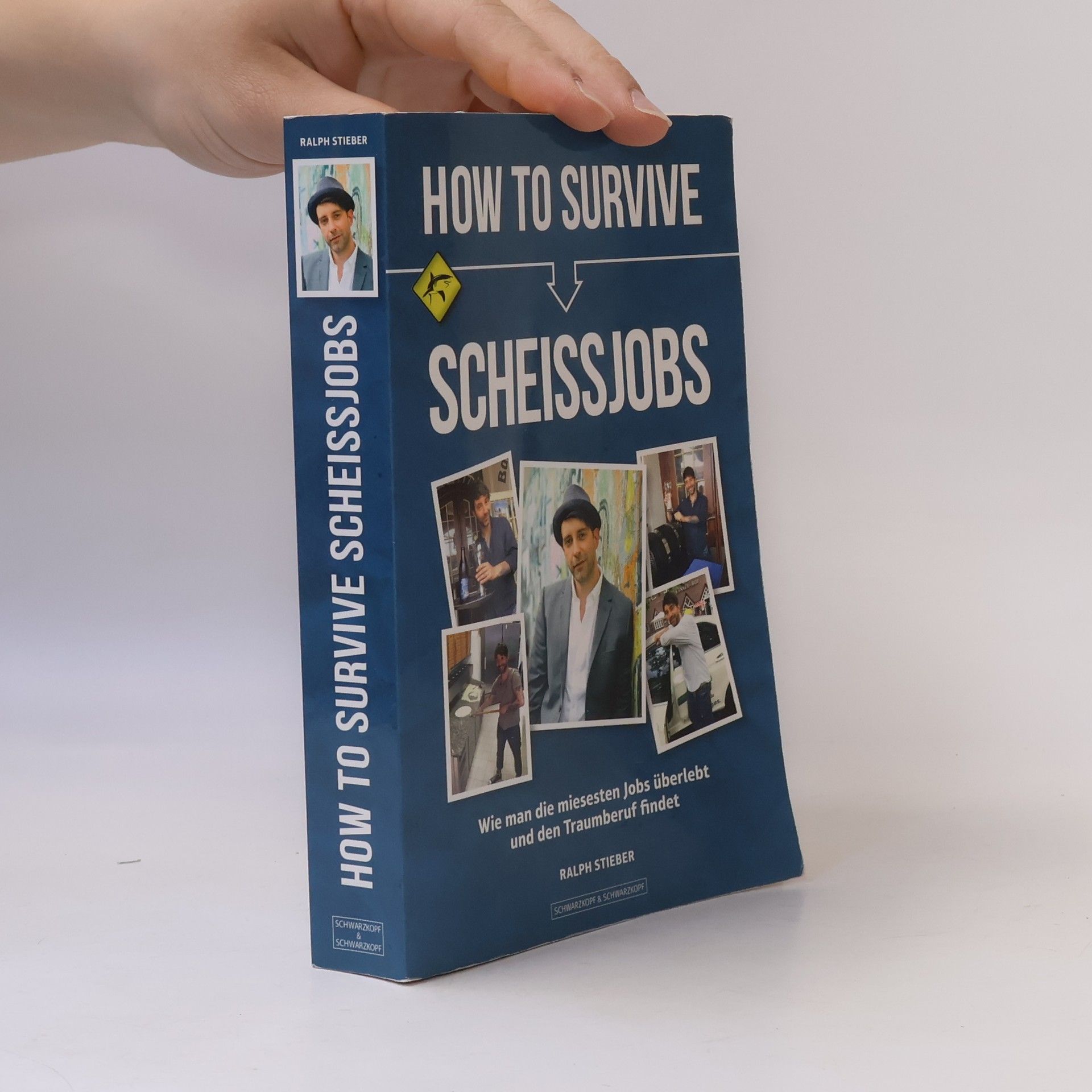 Ralph Stieber How to Survive Scheißjobs