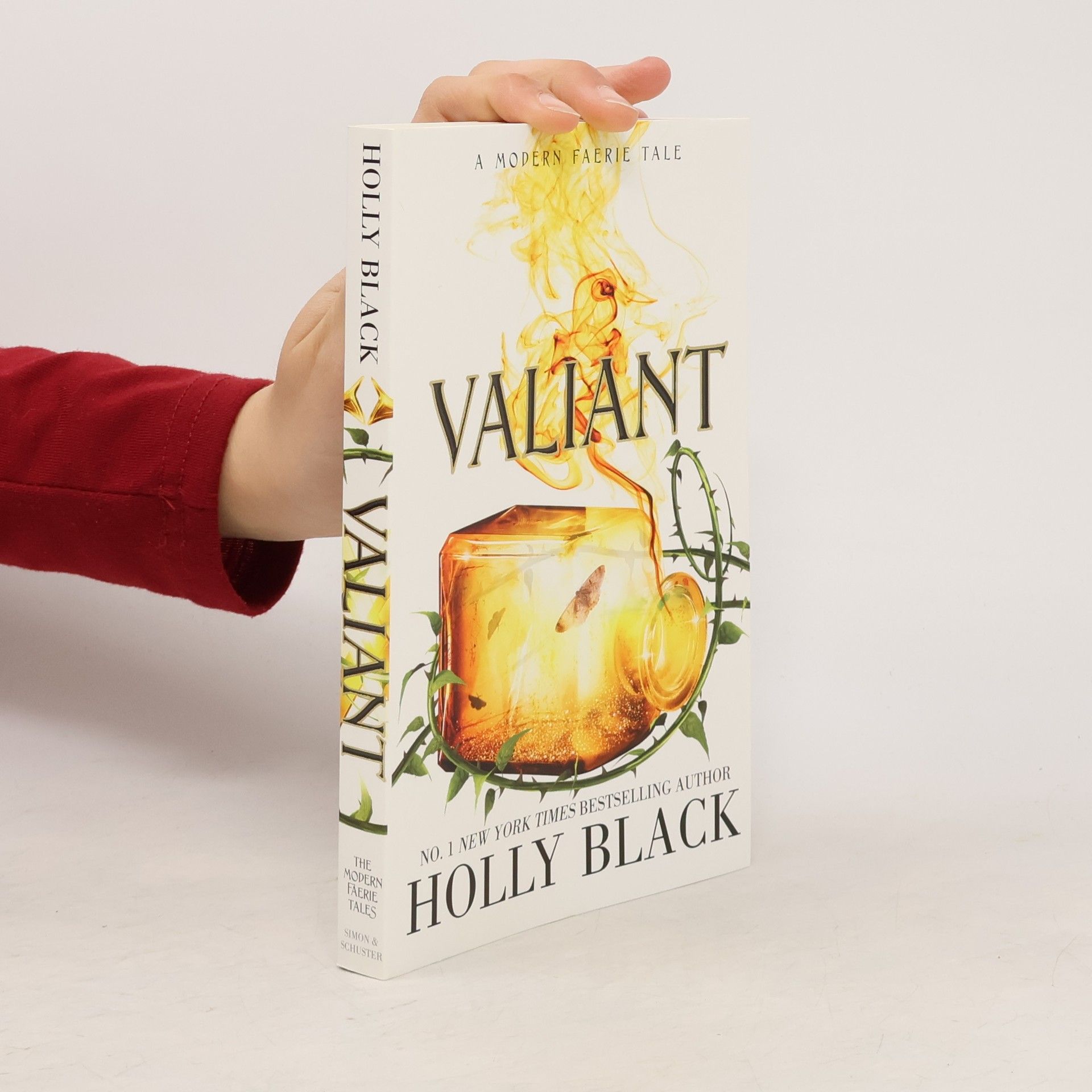 Holly Black Valiant