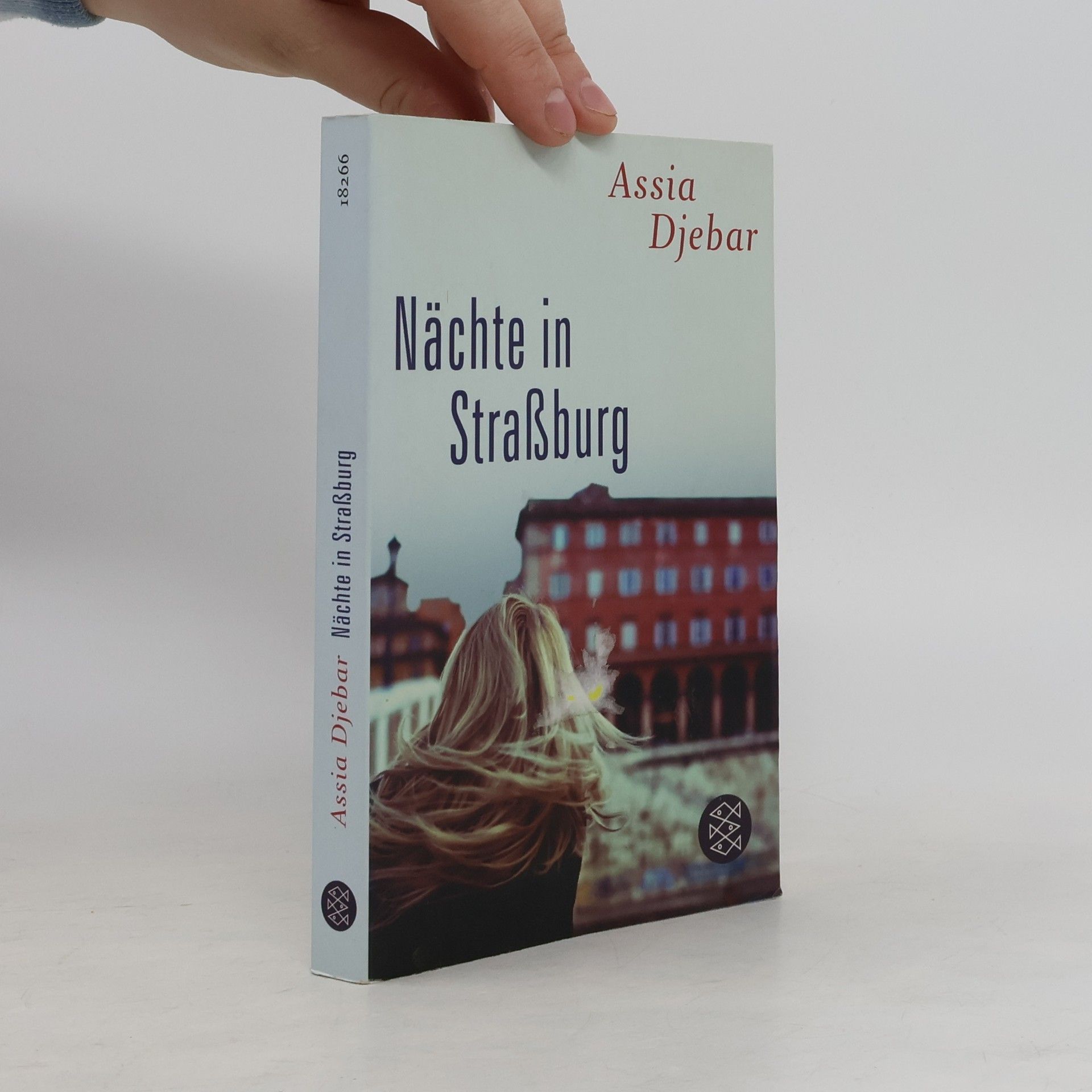 Beate Thill Nächte in Straßburg