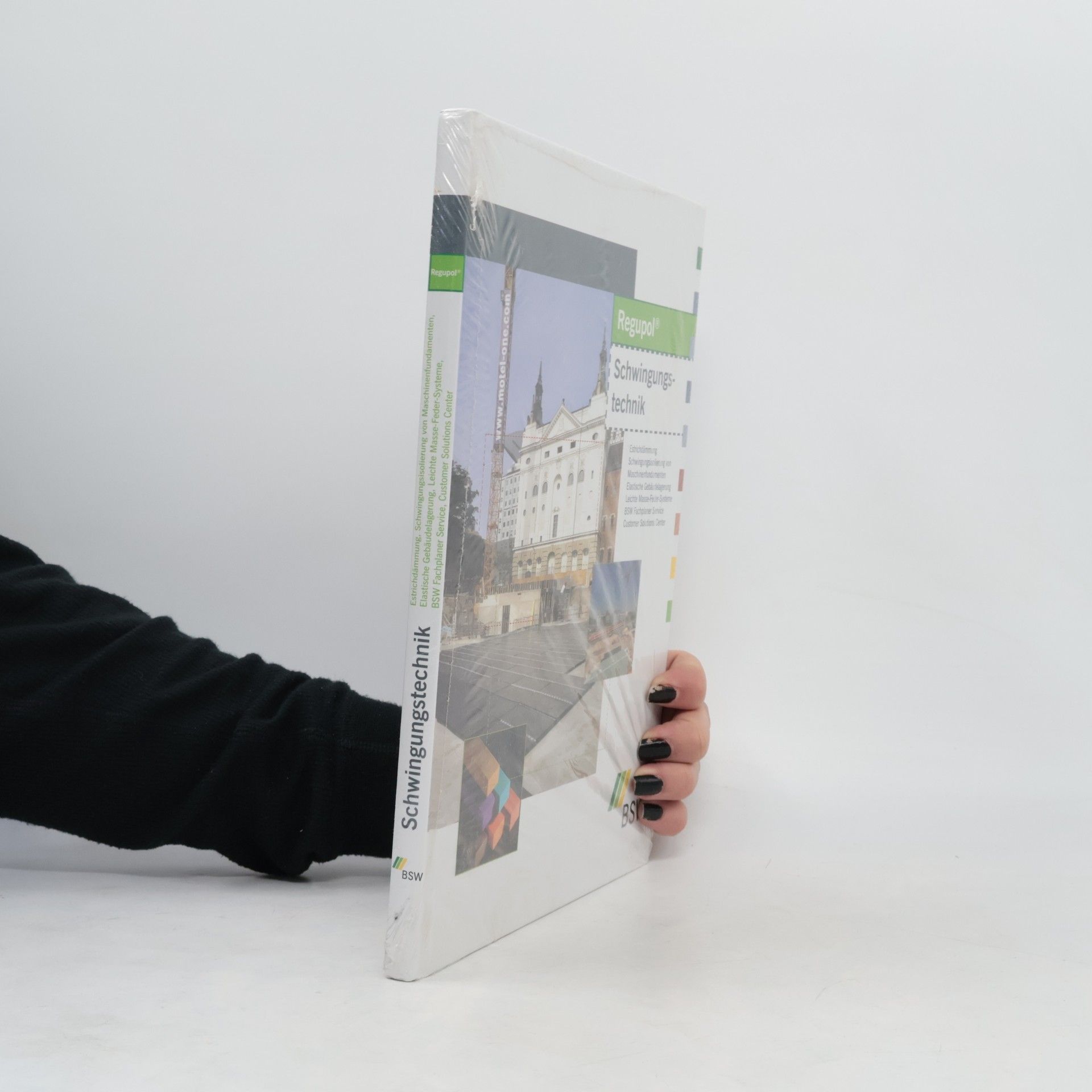 Autorenkollektiv BSW Schwingungstechnik