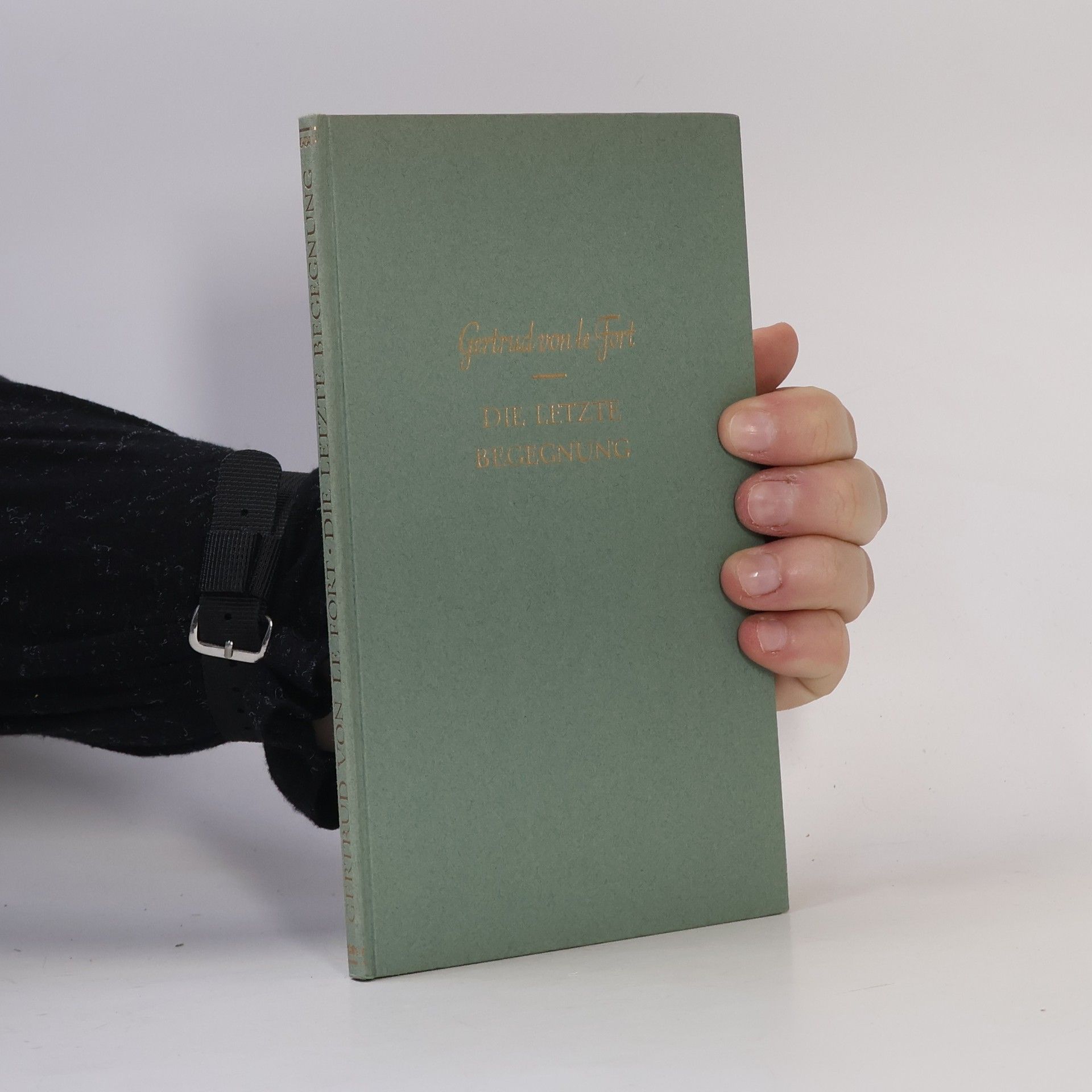 Die letzte Begegnung