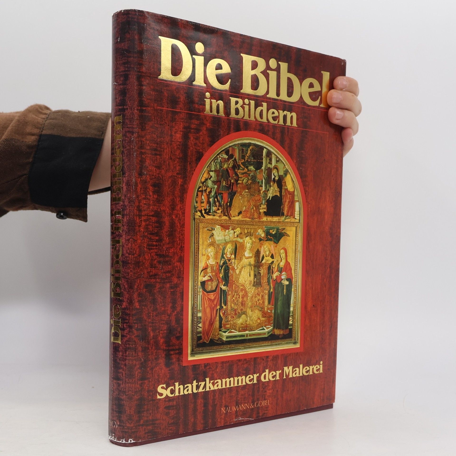 AA.VV. Die Bibel in Bildern. Schatzkammer der Malerei