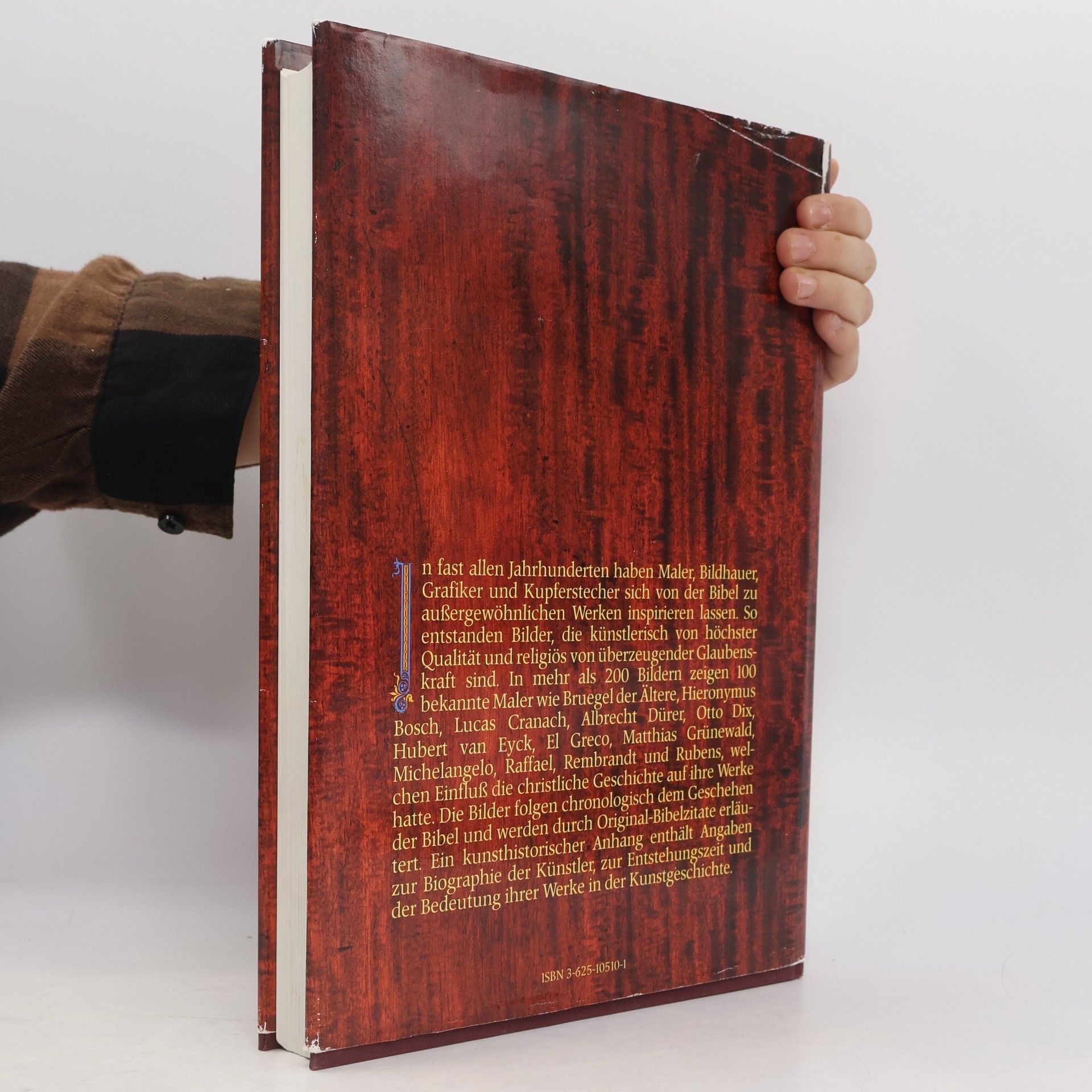 Autorenkollektiv Die Bibel in Bildern. Schatzkammer der Malerei