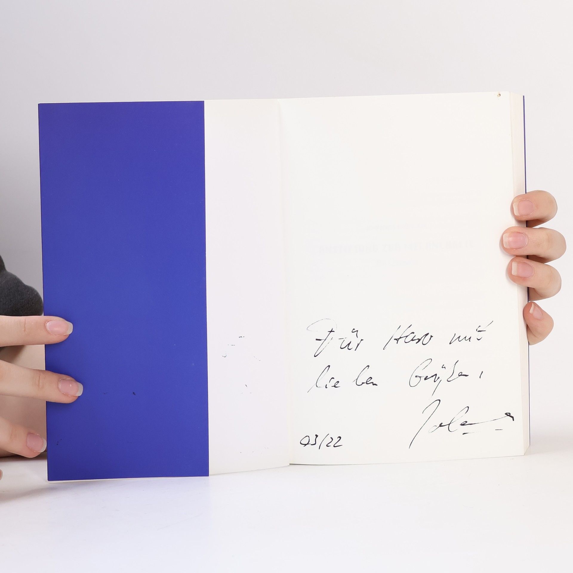 Johannes Fröhlich Anstiftung zur Melancholie