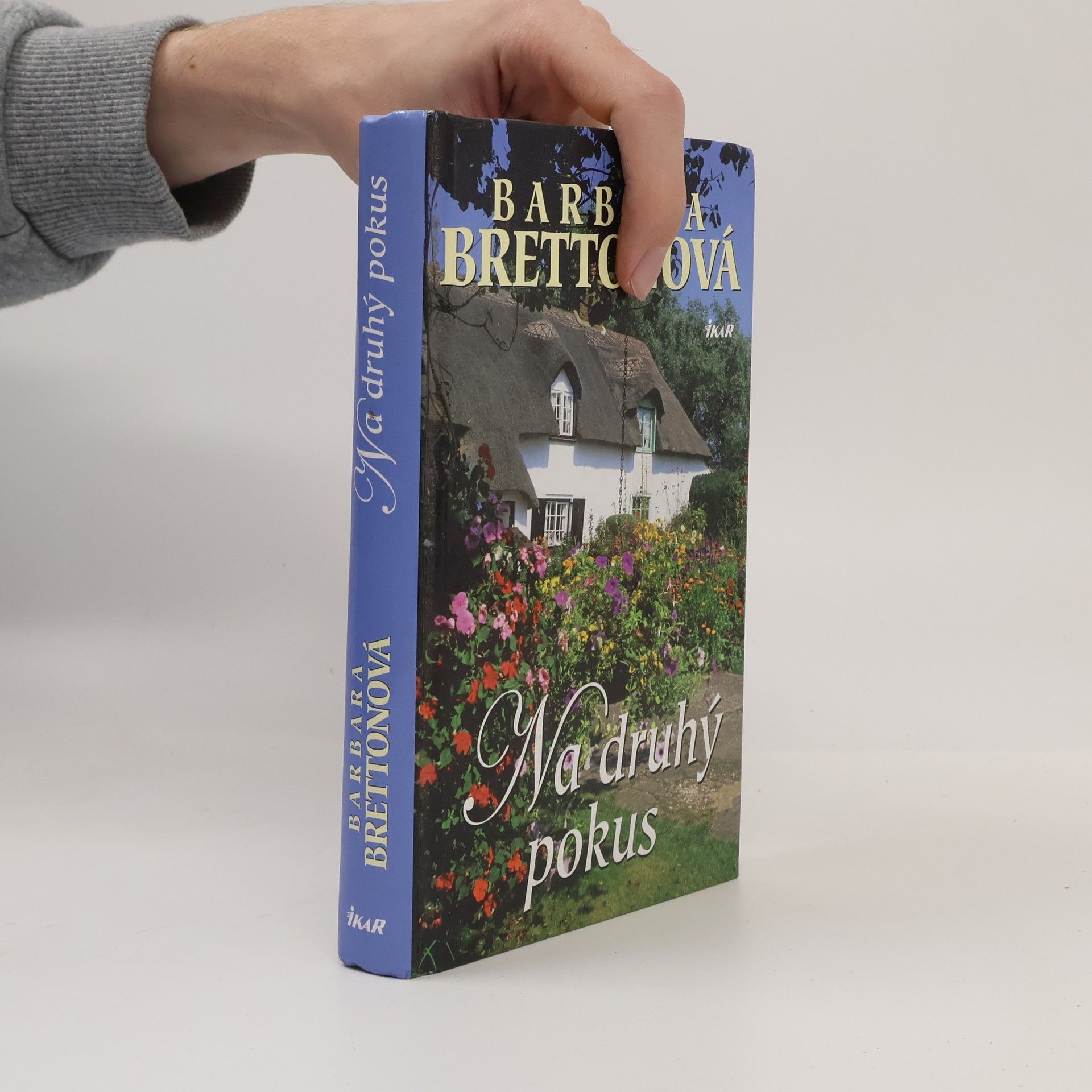 Barbara Bretton Na druhý pokus