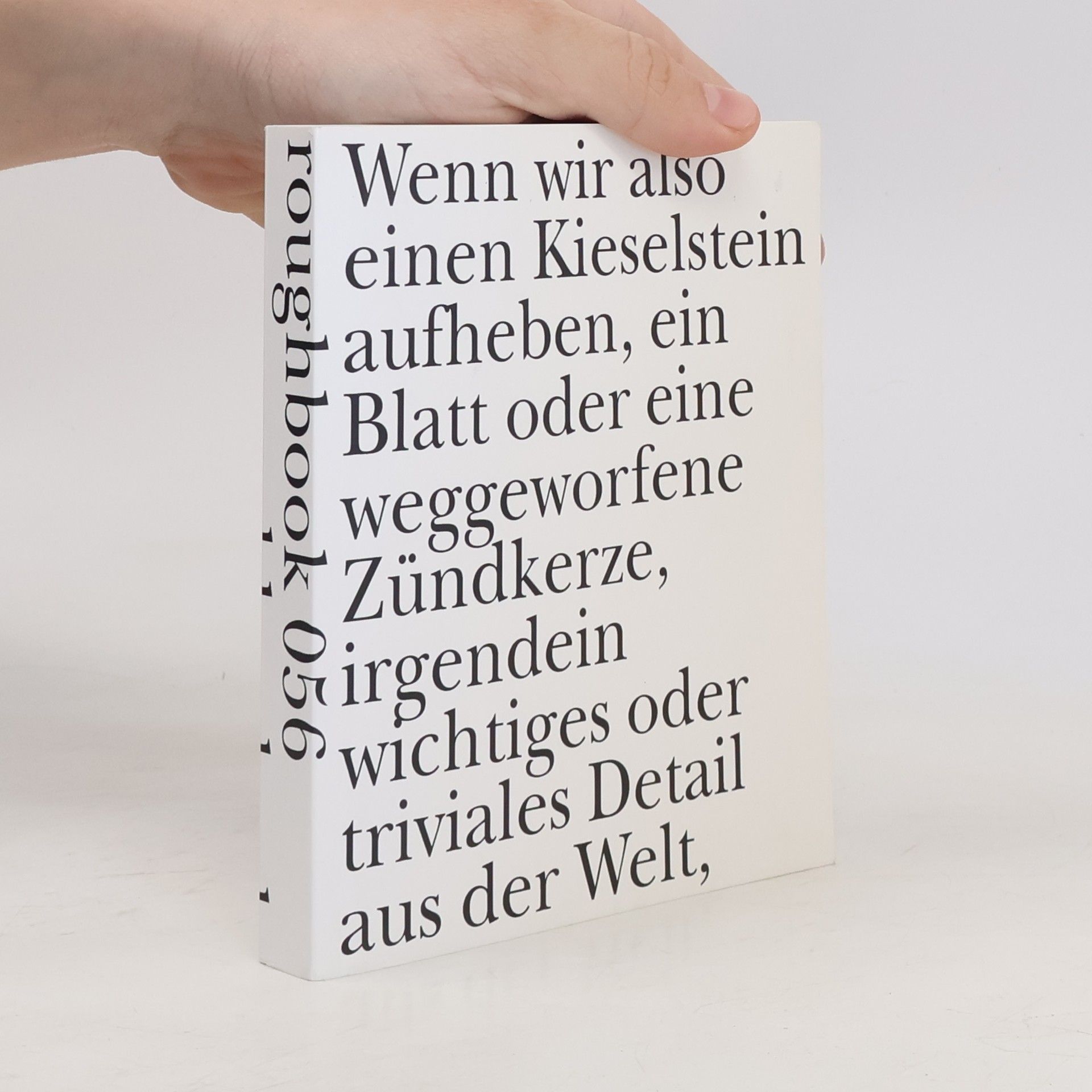 Ágnes Nemes Nagy Mein Hirn. Ein See. Roughbook 56