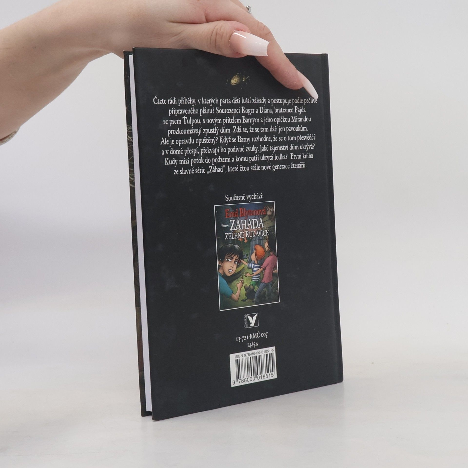 Enid Blyton Záhada Pavoučího domu