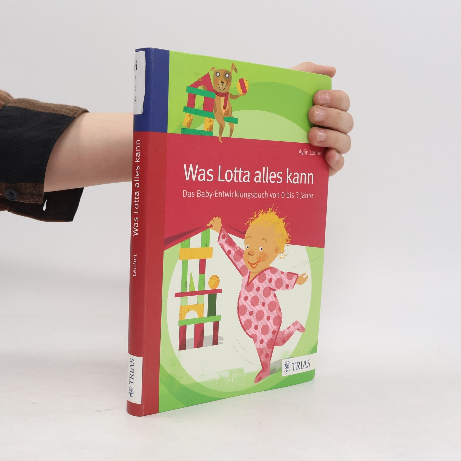 Aylin Lenbet Was Lotta alles kann