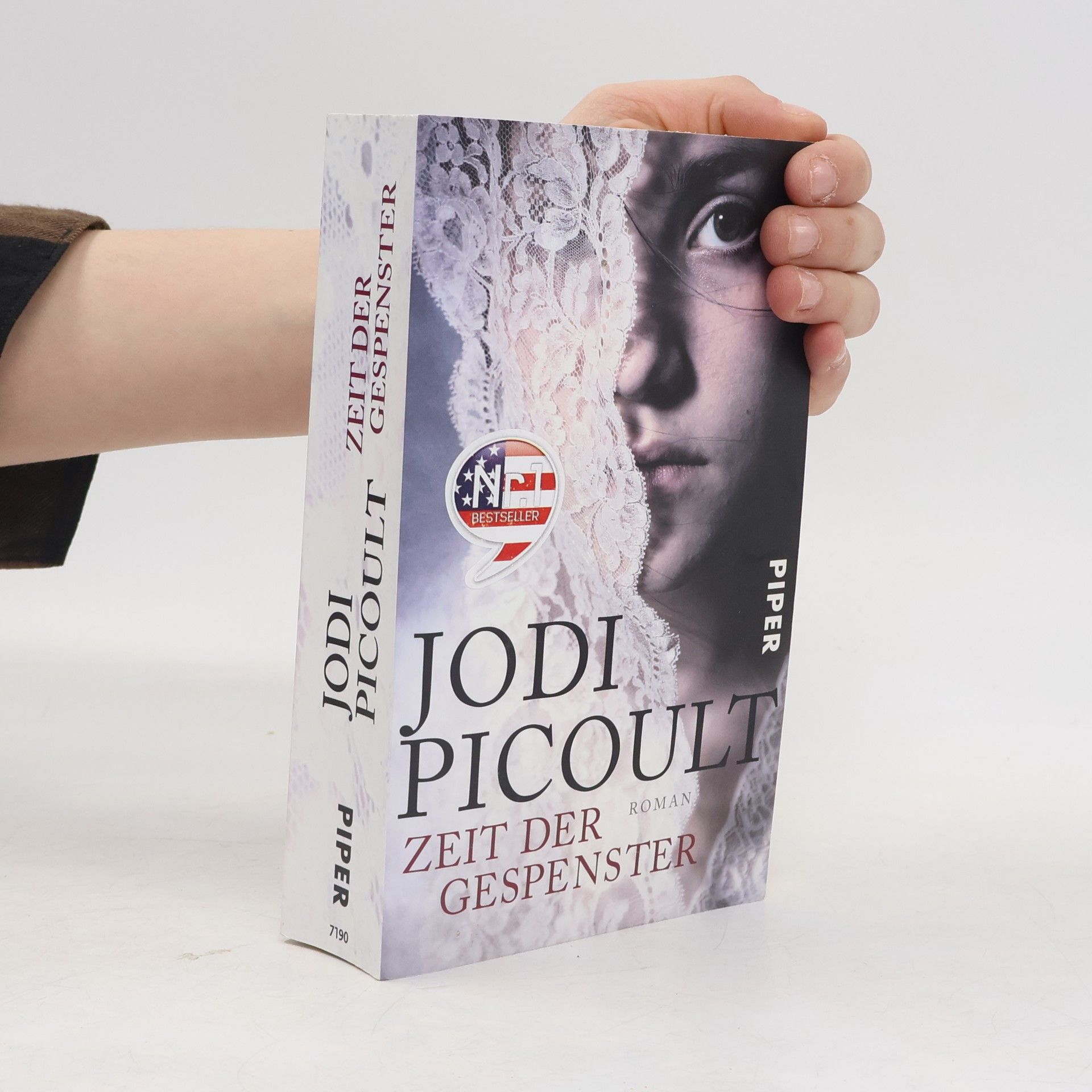 Jodi Picoult Zeit der Gespenster