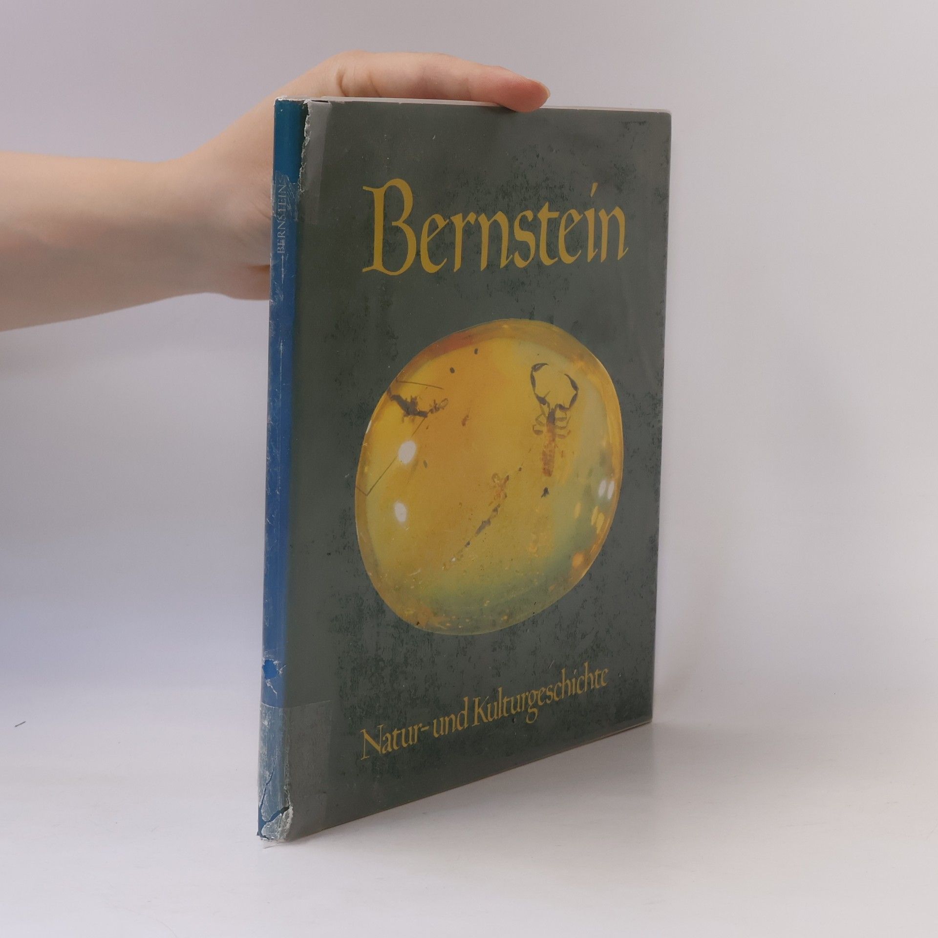 Dieter Schlee Bernstein in Natur- und Kulturgeschichte