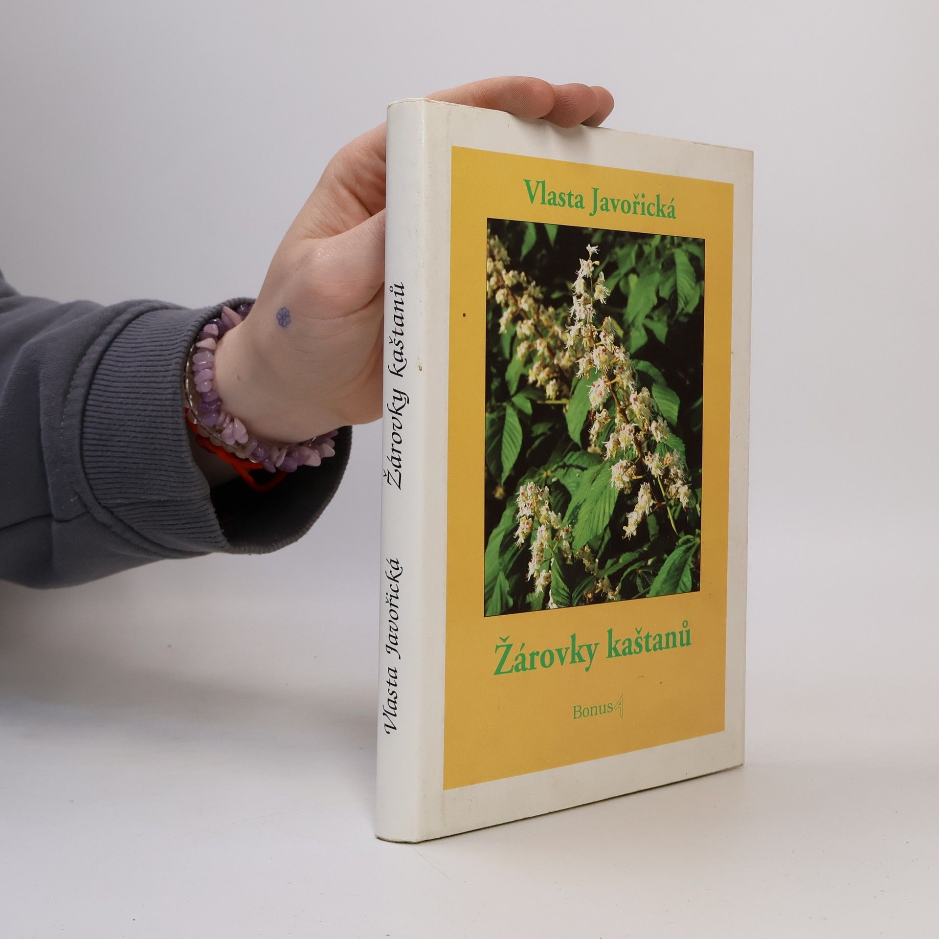Vlasta Javořická Žárovky kaštanů : šest povídek