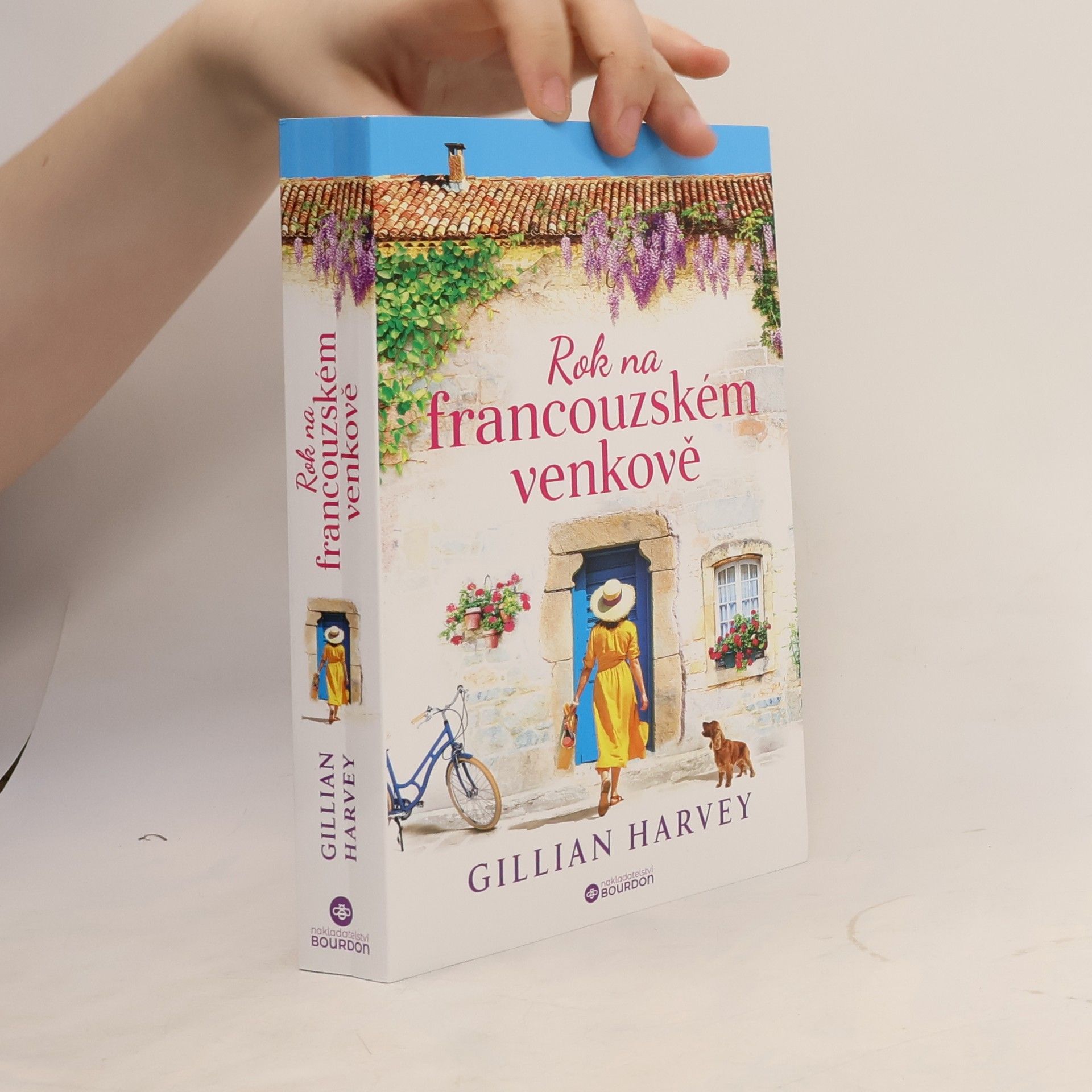 Gillian Harvey Rok na francouzském venkově