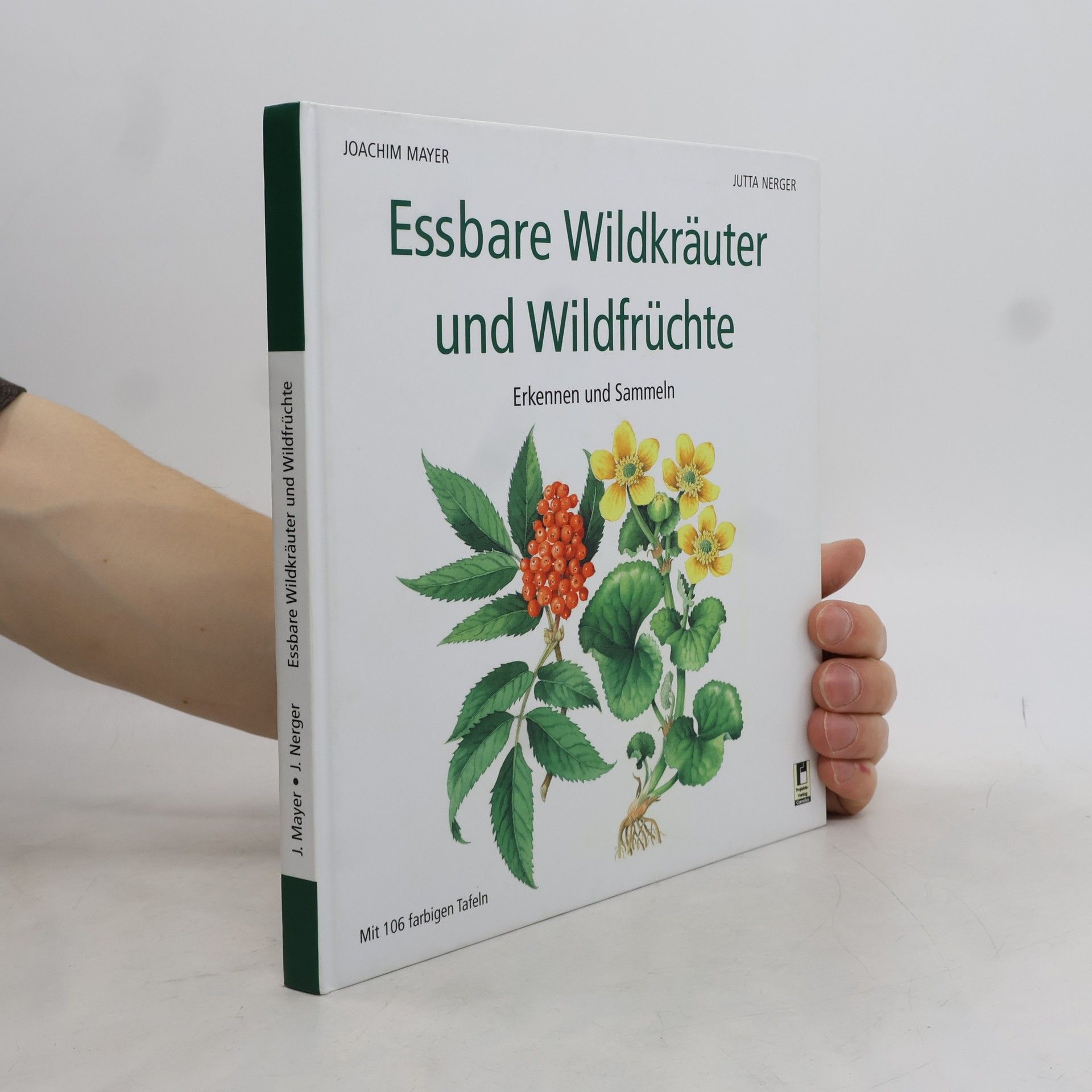 Jutta Nerger Essbare Wildkräuter und Wildfrüchte
