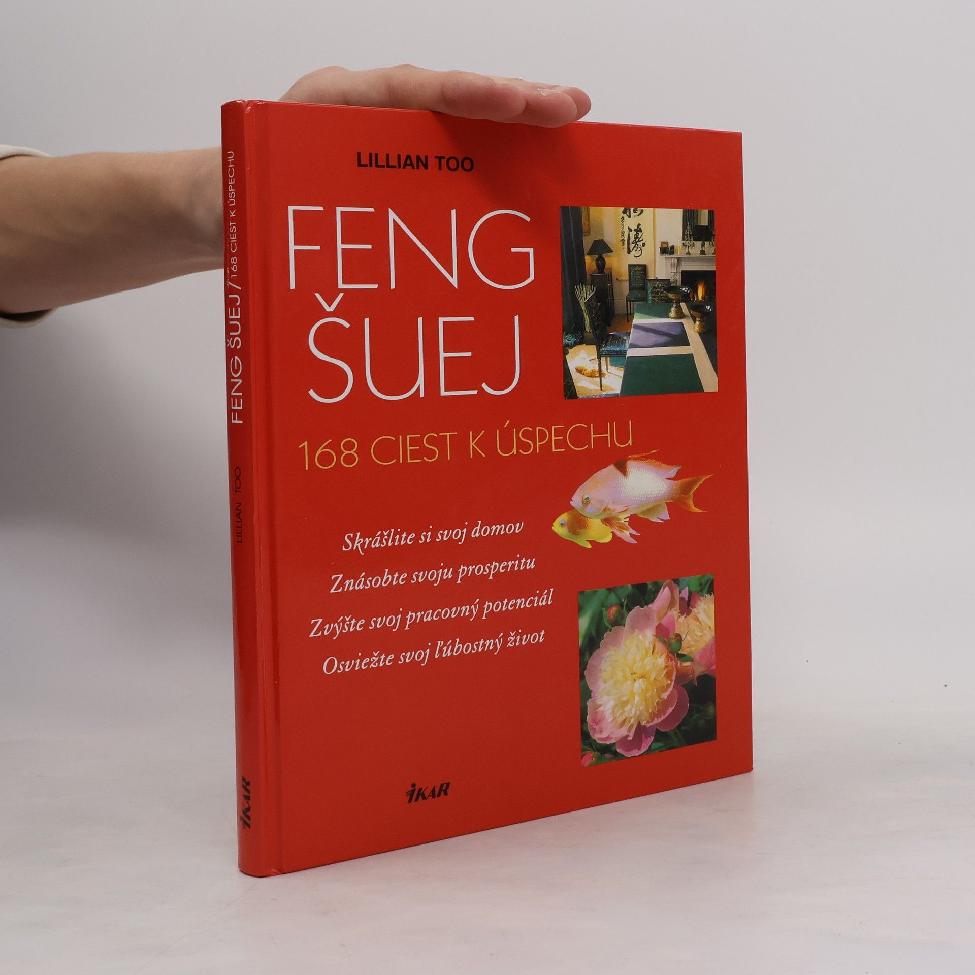 Feng Šuej- 168 ciest k úspechu