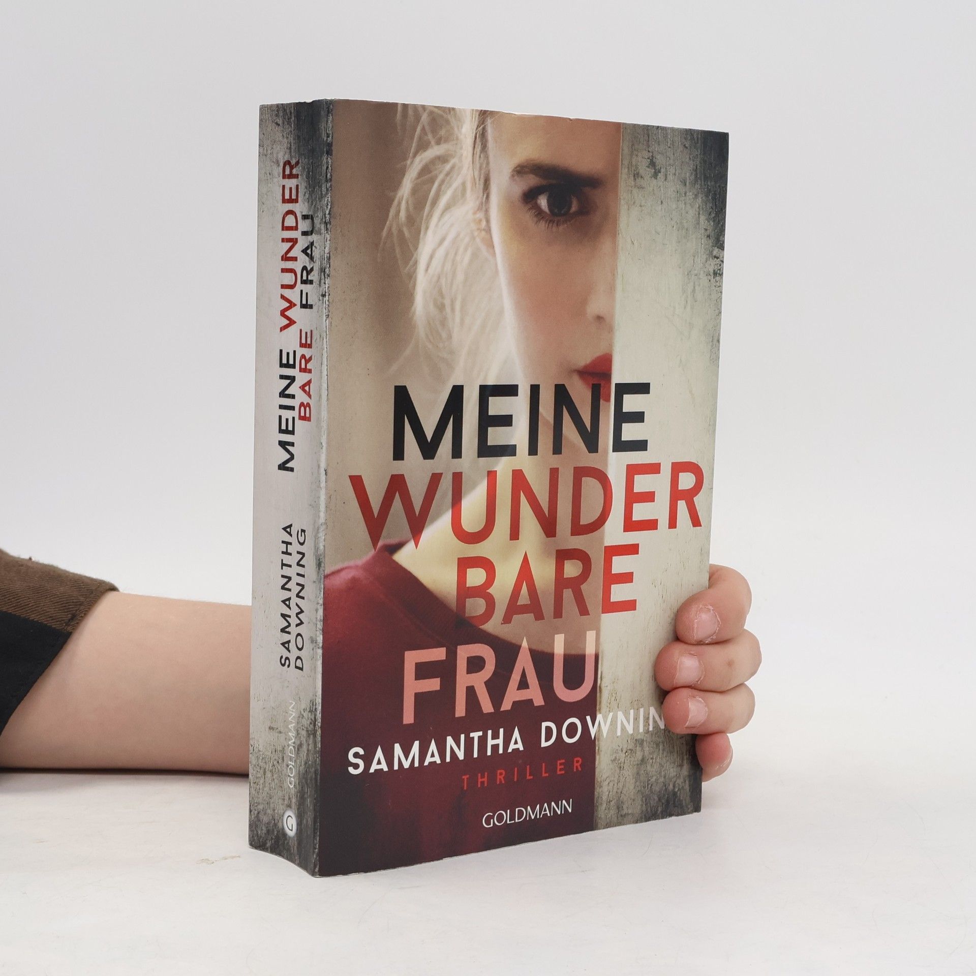 Samantha Downing Meine wunderbare Frau