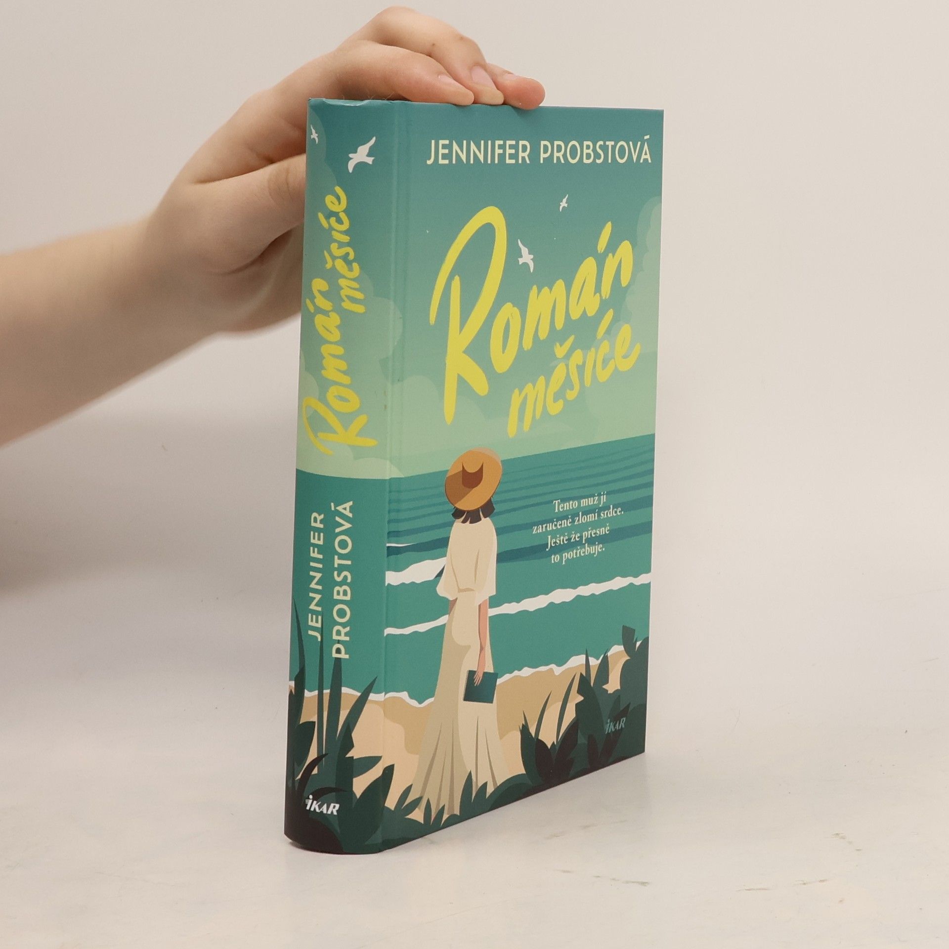 Jennifer Probst Román měsíce