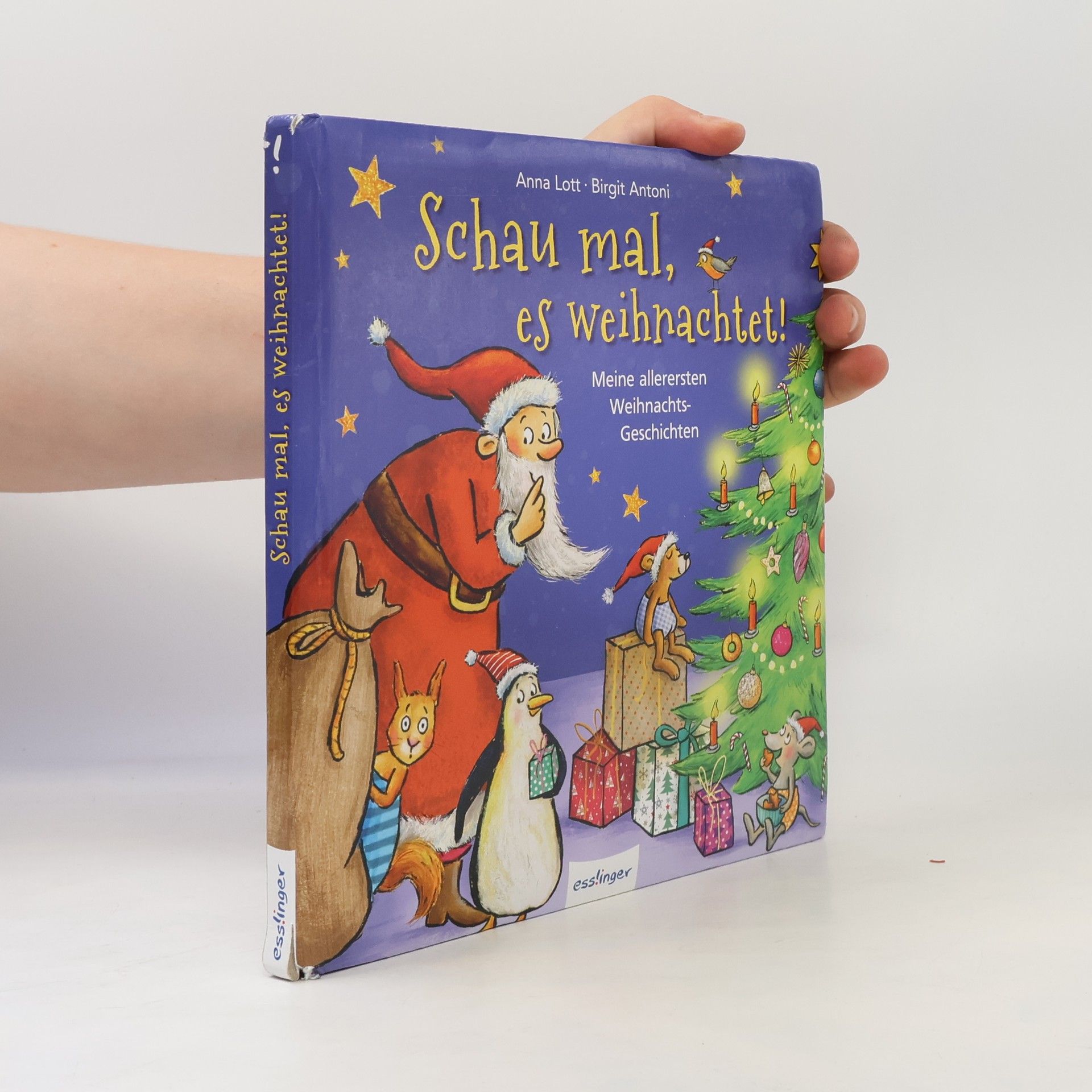 Anna Lott Schau mal, es weihnachtet!