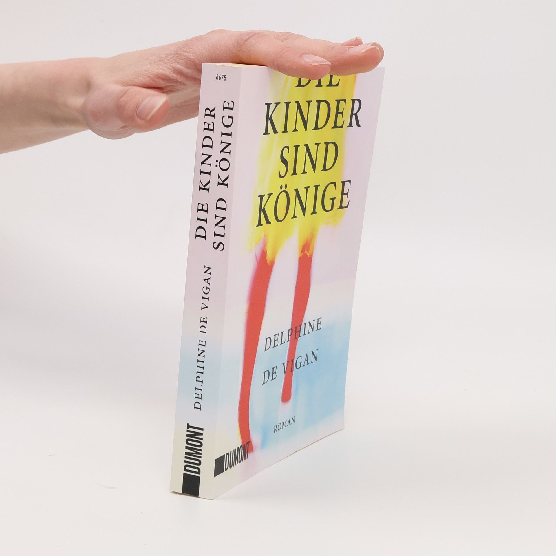 Delphine de Vigan Die Kinder sind Könige