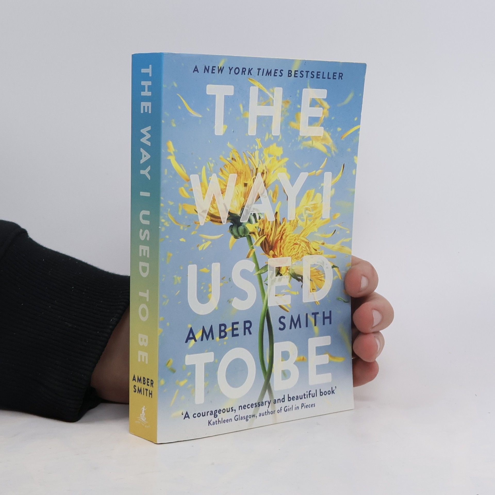 Amber Smith The Way I Used to Be