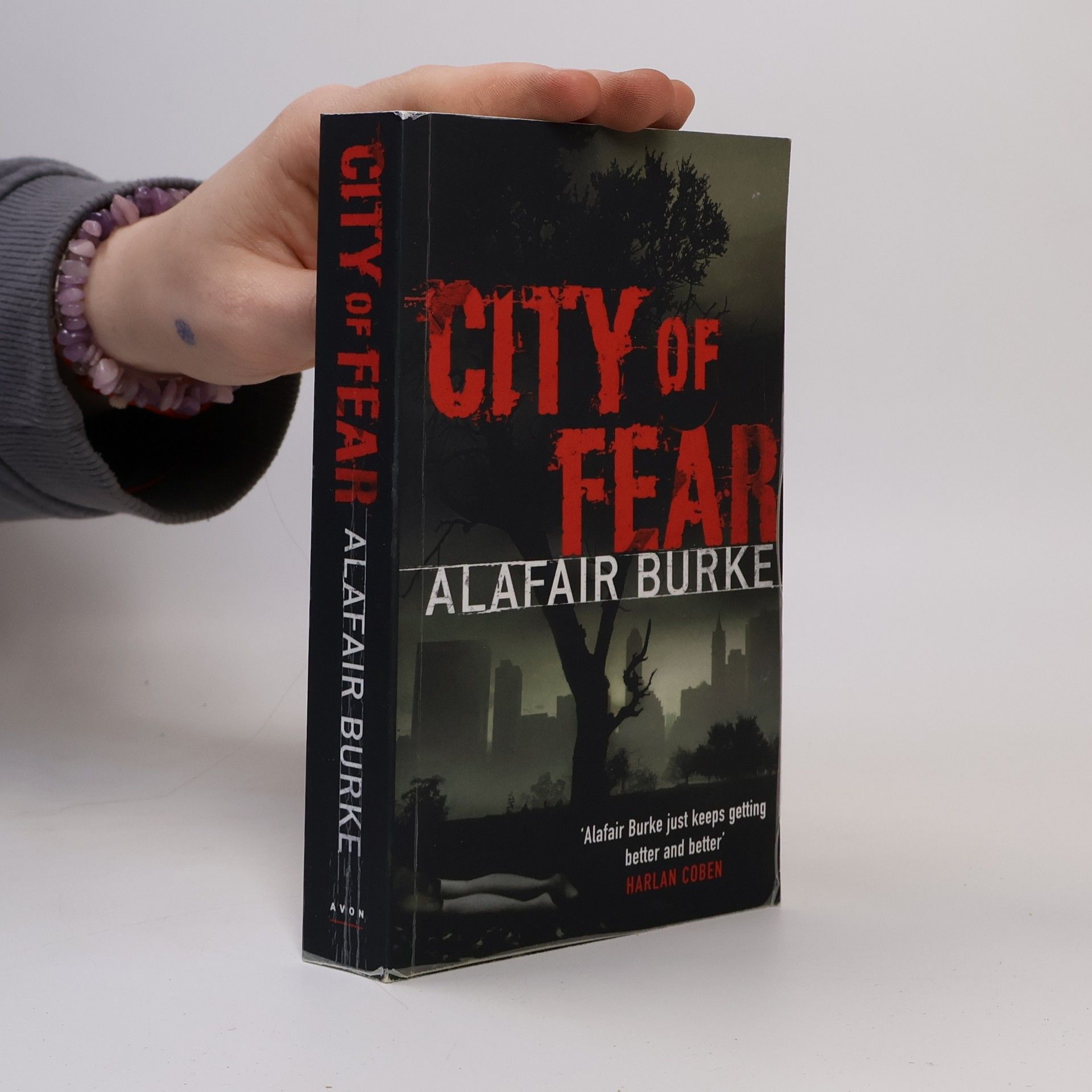 Alafair Burke City of Fear