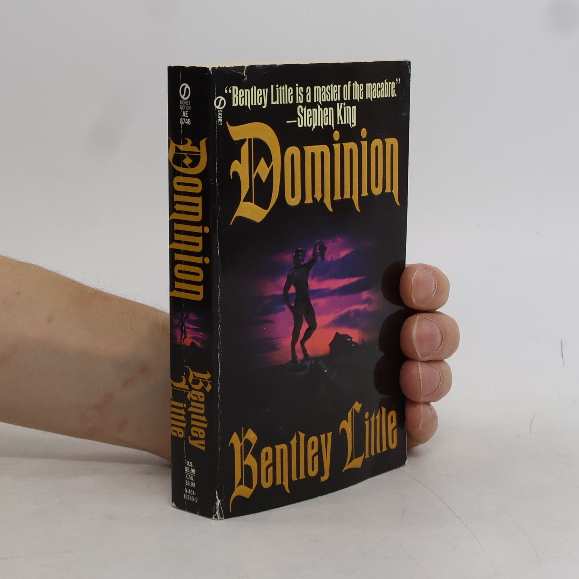 Bentley Little Dominion