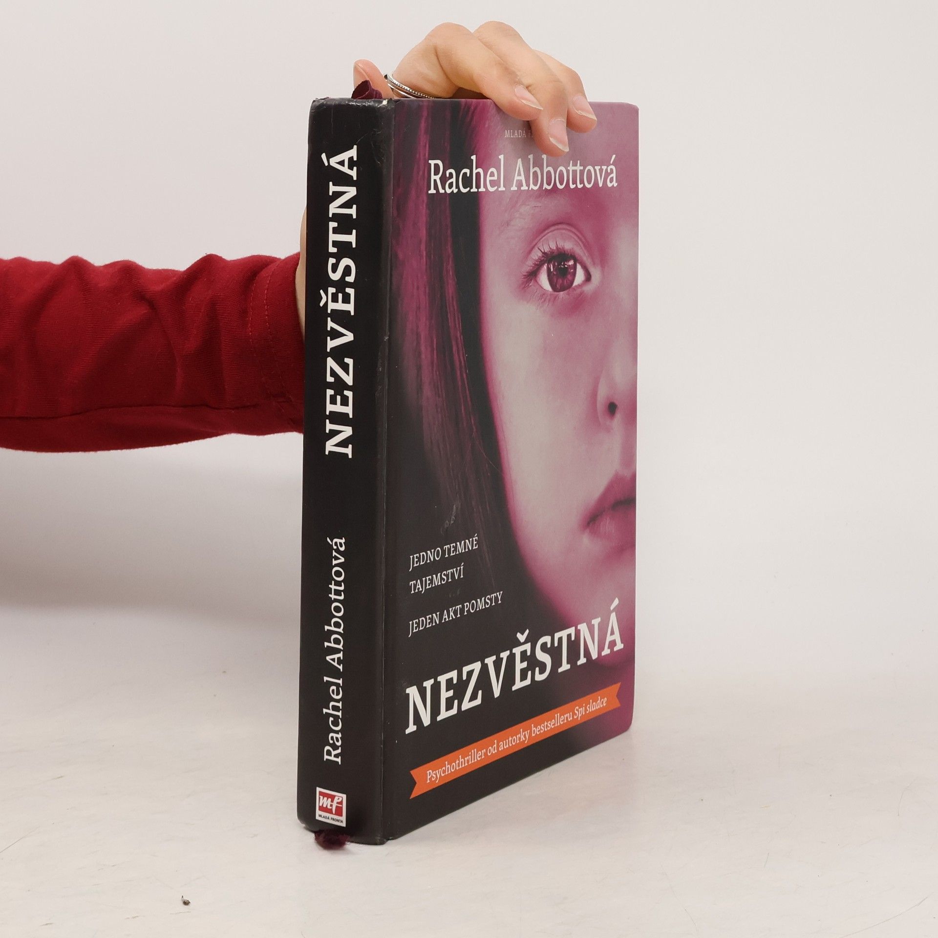 Rachel Abbott Nezvěstná