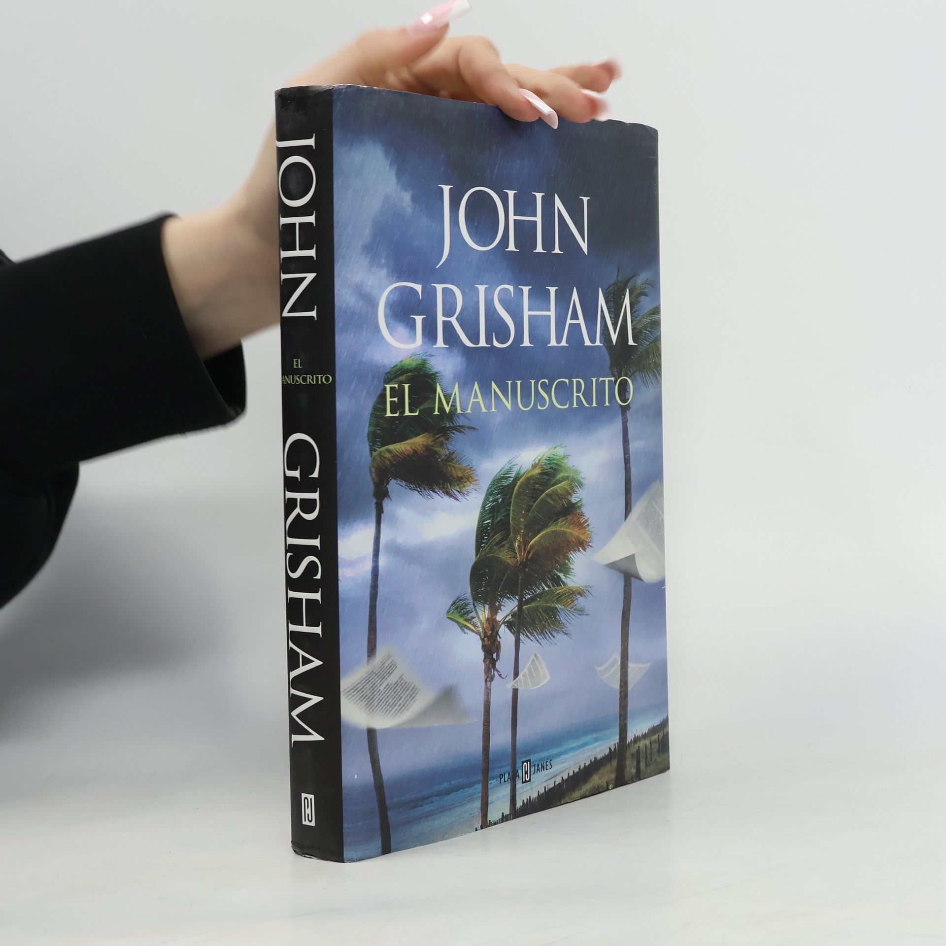 Mª del Puerto Barruetabeña Díez Camino Island - 2: El manuscrito