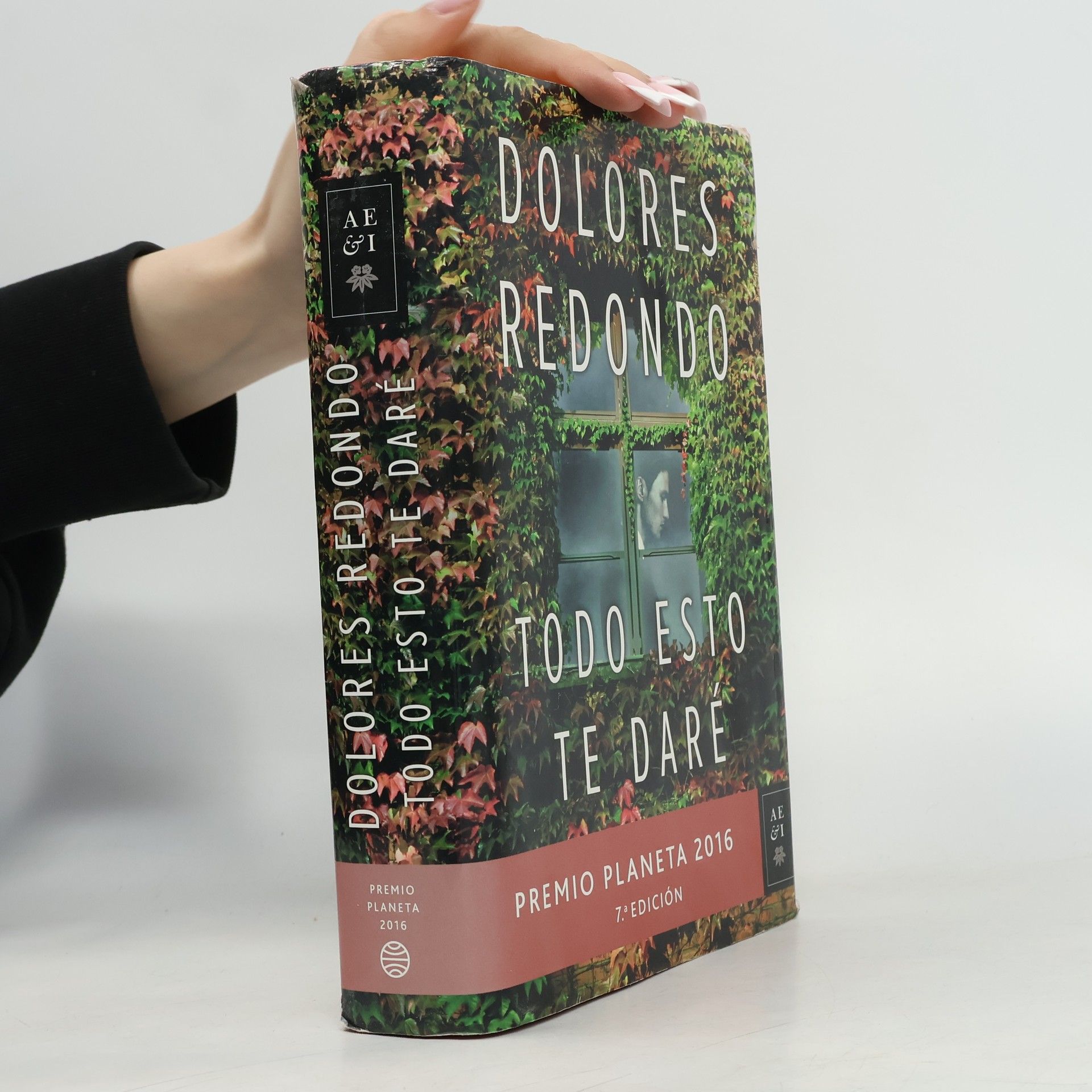 Dolores Redondo Todo esto te daré