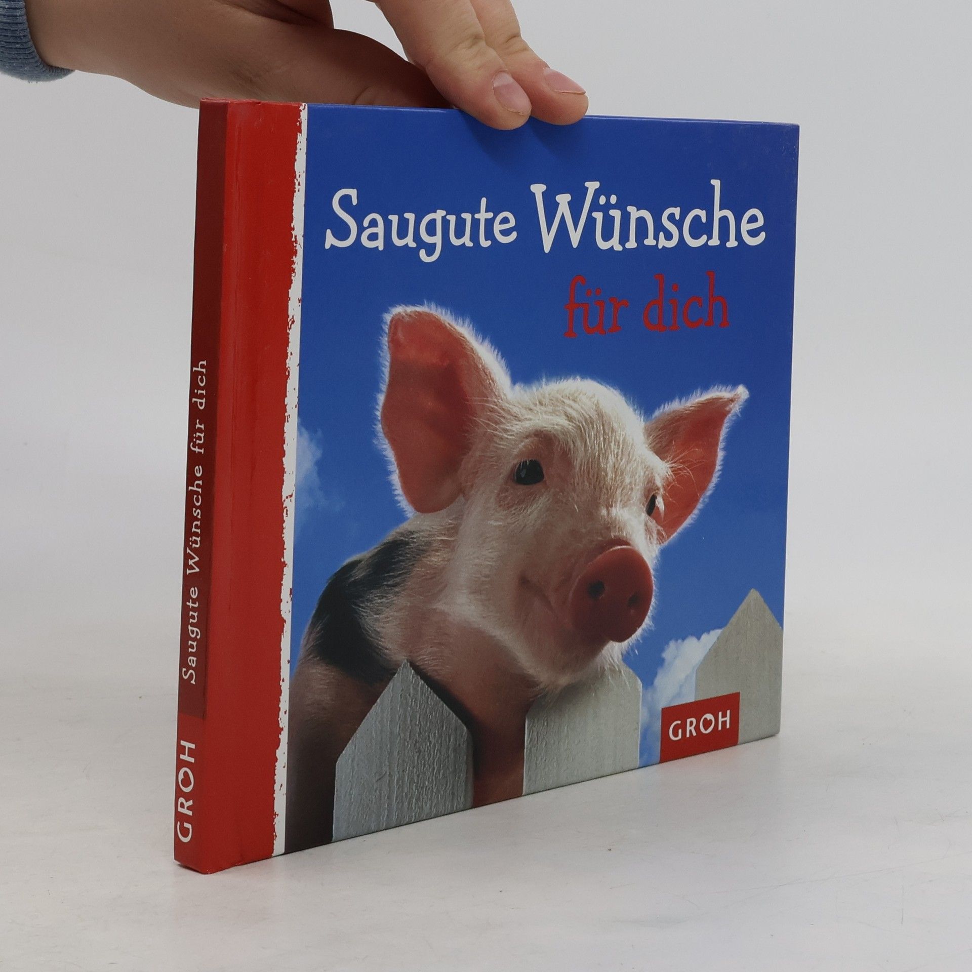 Dorothée Bleker Saugute Wünsche für dich