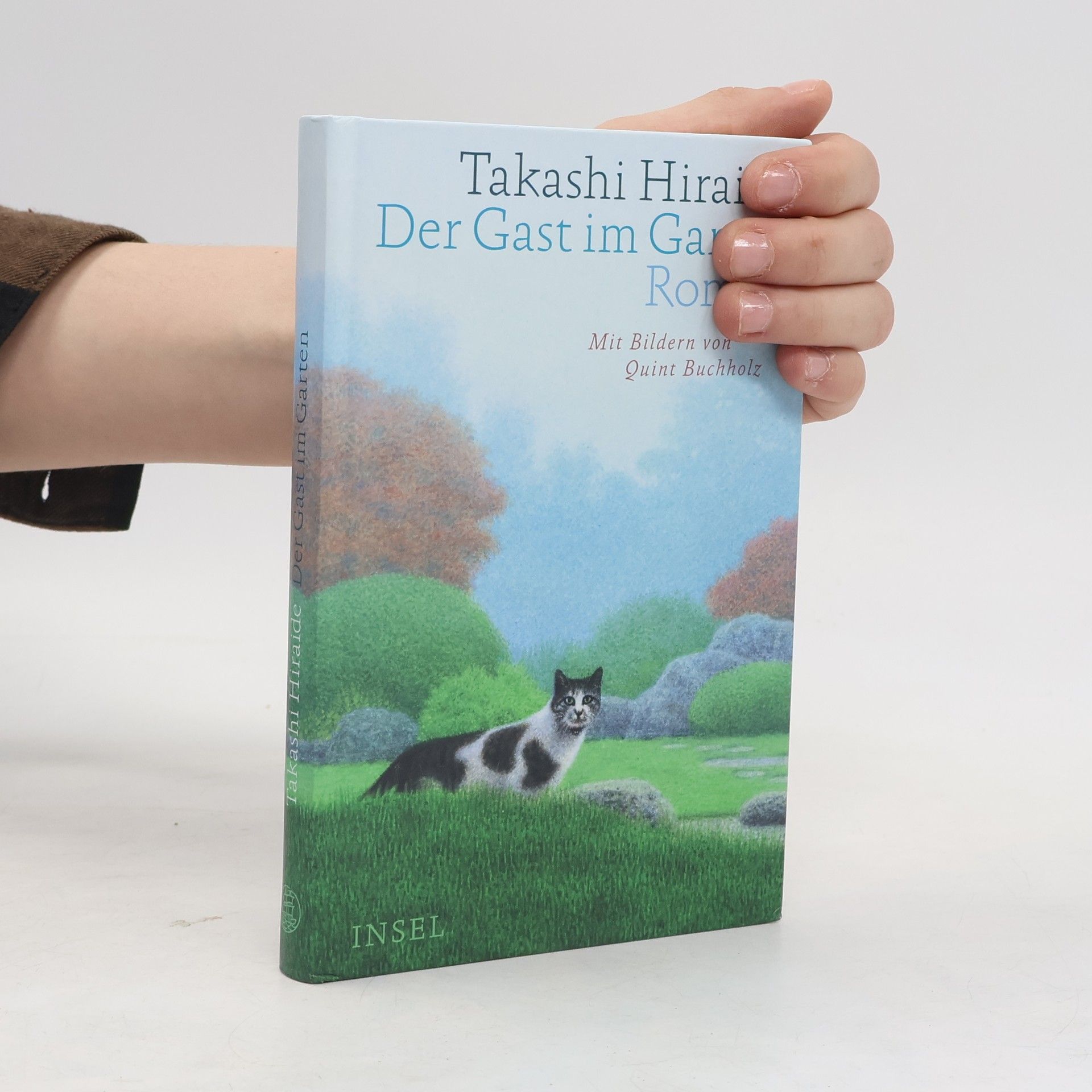 Takashi Hiraide Der Gast im Garten