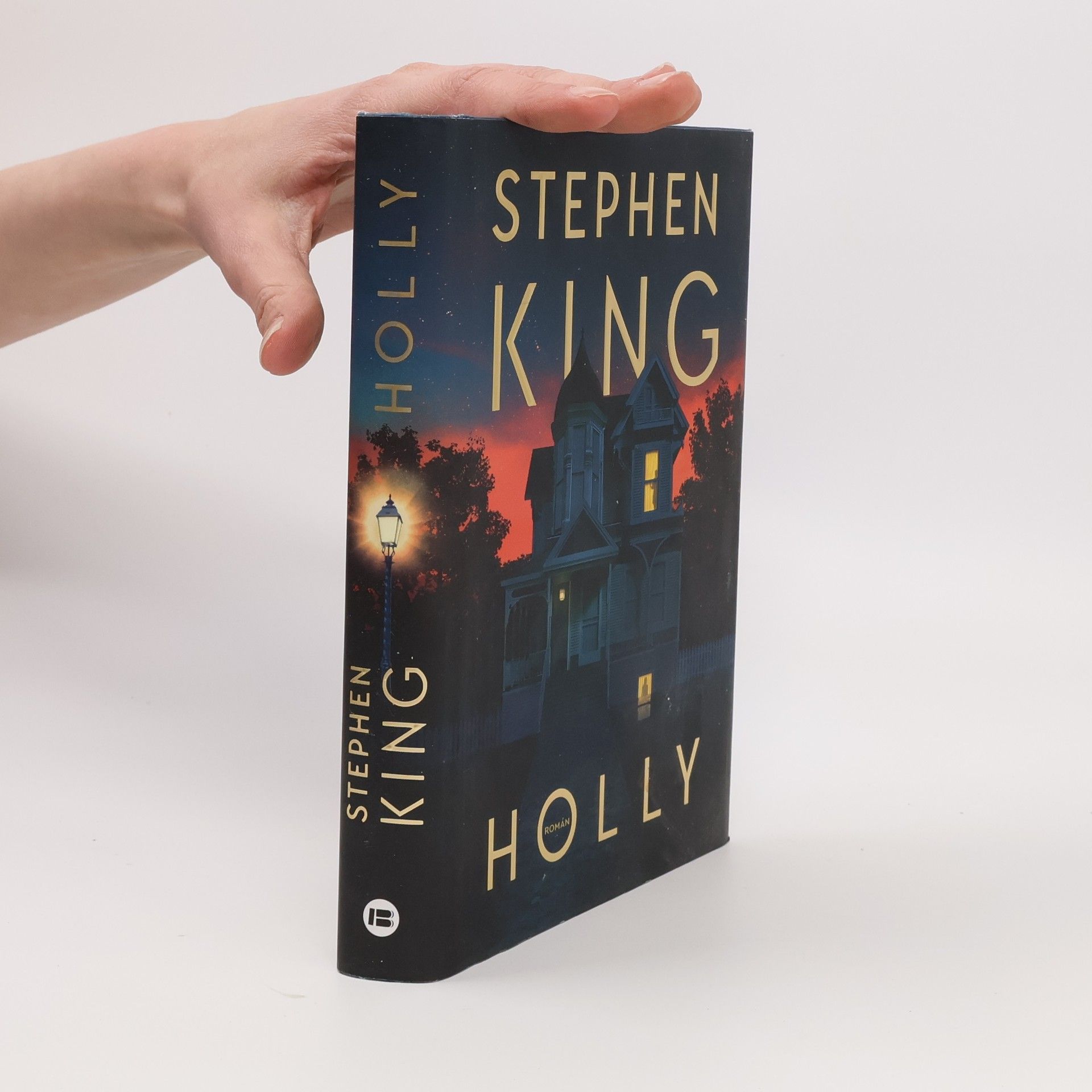 Stephen King Holly
