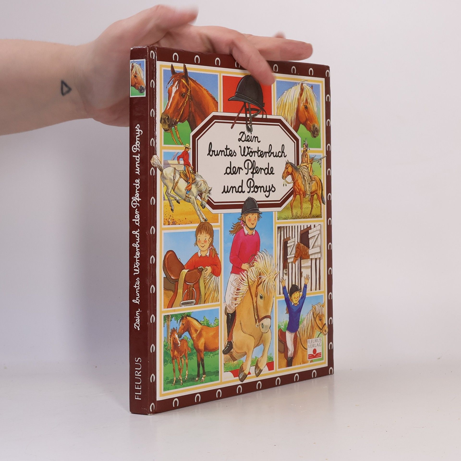 Marie-Renée Pimont Dein buntes Wörterbuch der Pferde und Ponys